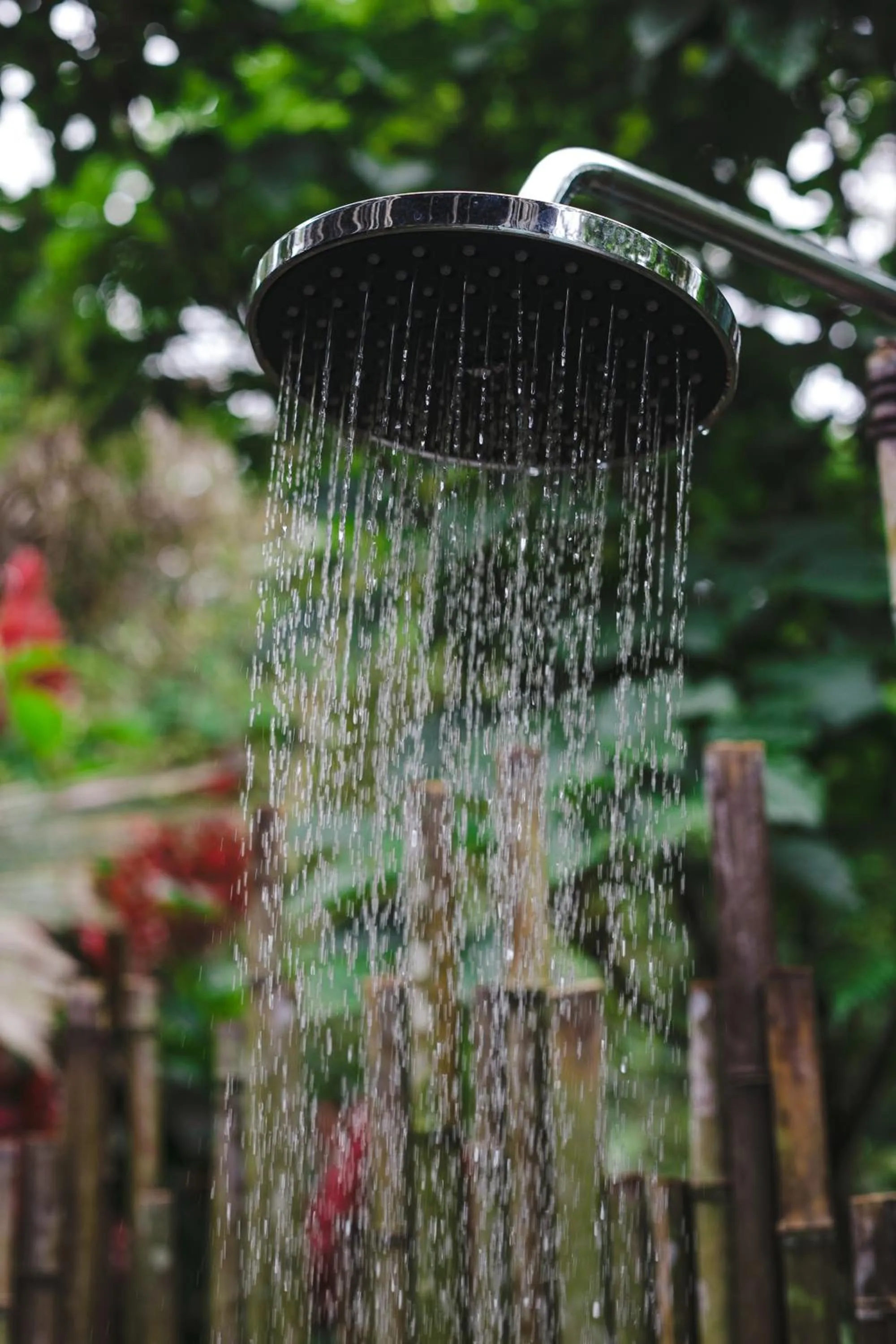 Swimming pool in Hamadryade Lodge
