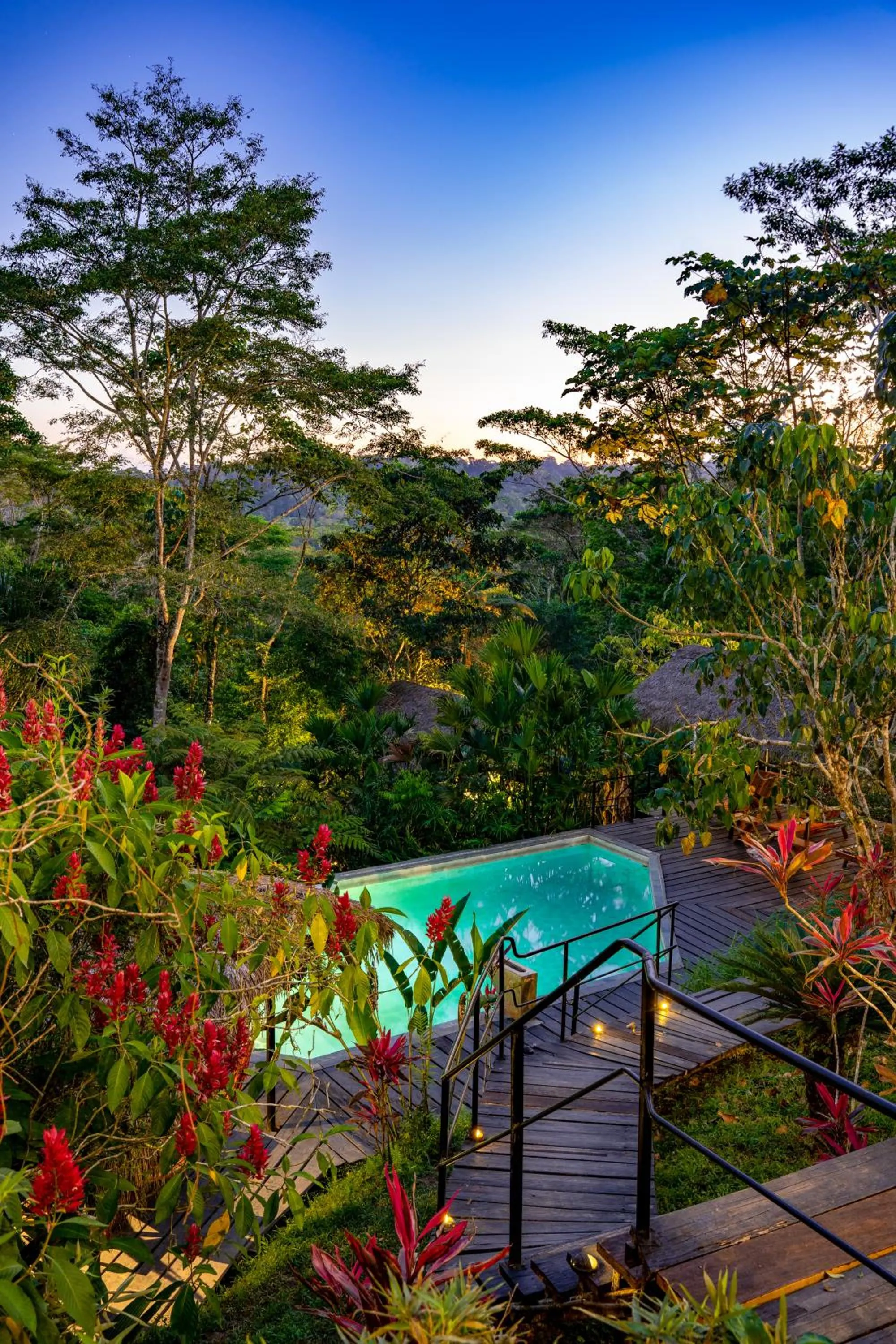 Swimming pool in Hamadryade Lodge