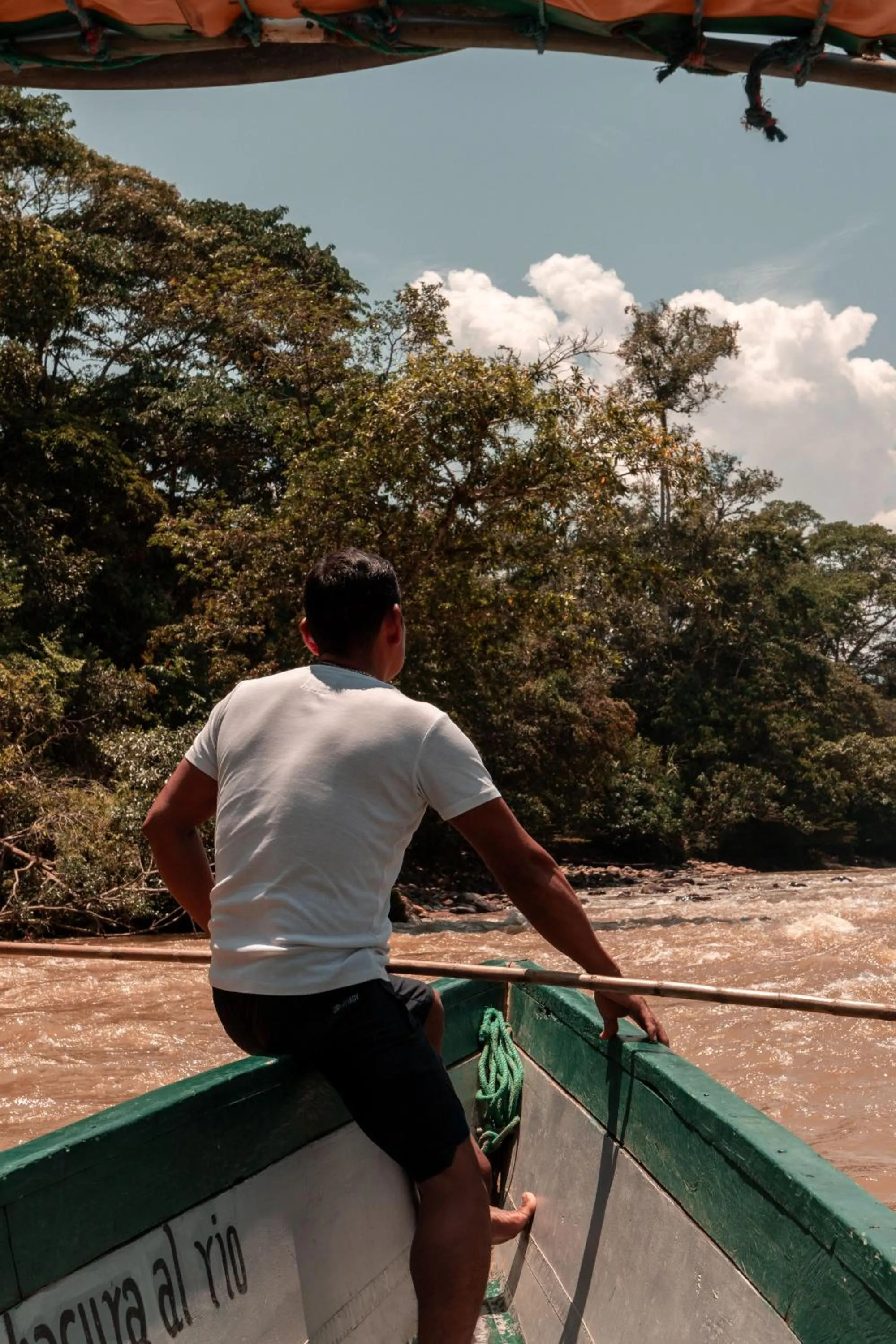 Natural landscape in Hamadryade Lodge