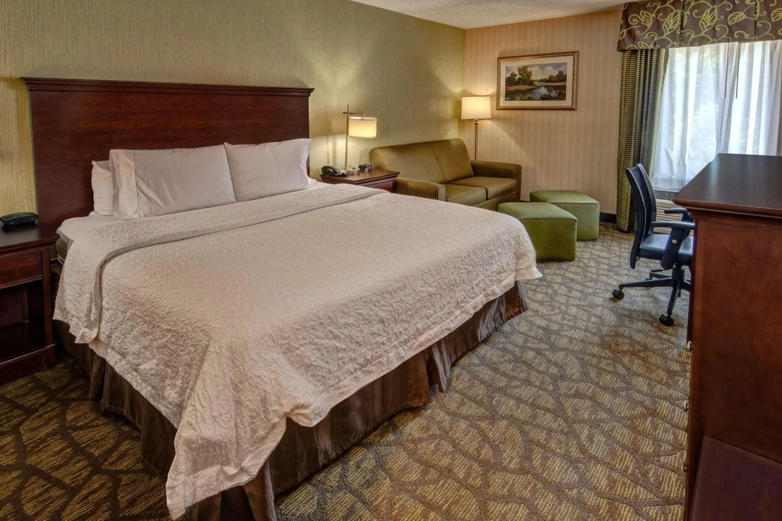 Living room, Bed in Hampton Inn Rocky Mount