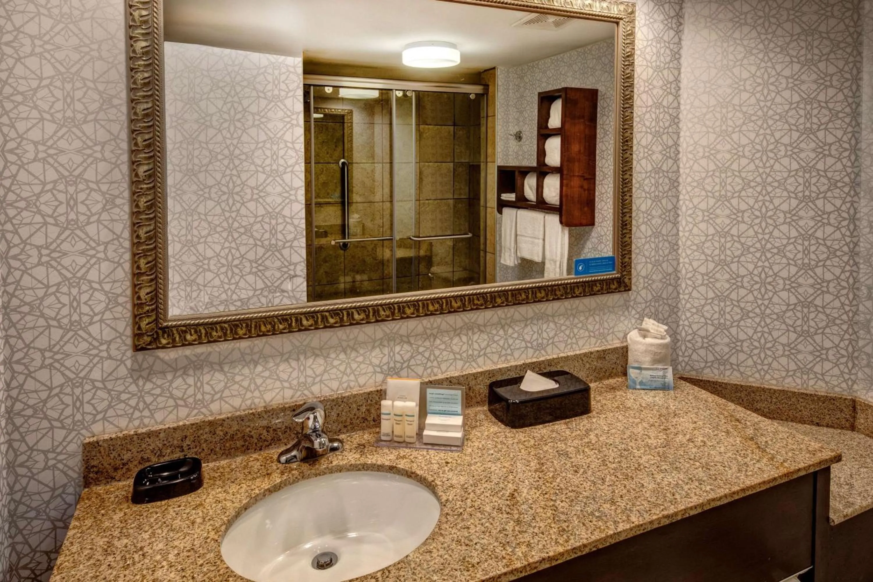 Bathroom in Hampton Inn Rocky Mount