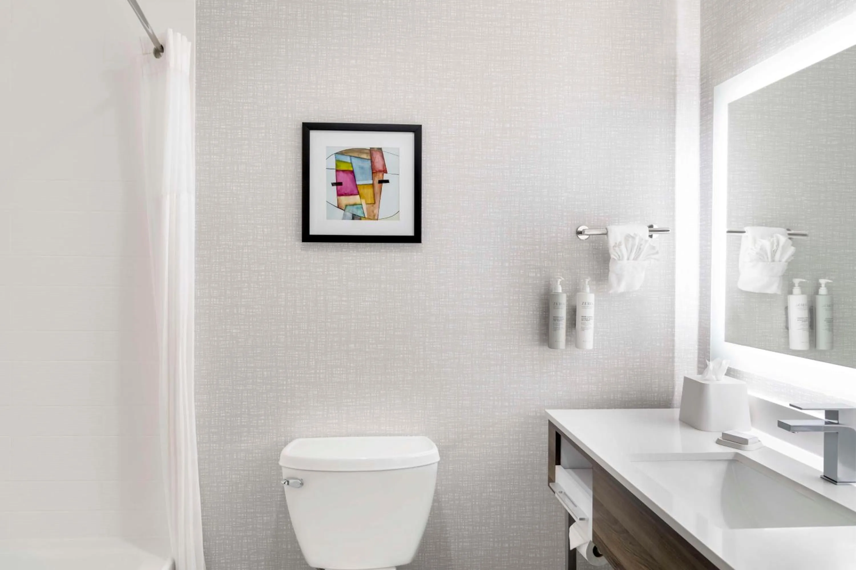 Bathroom in Hampton Inn Olathe