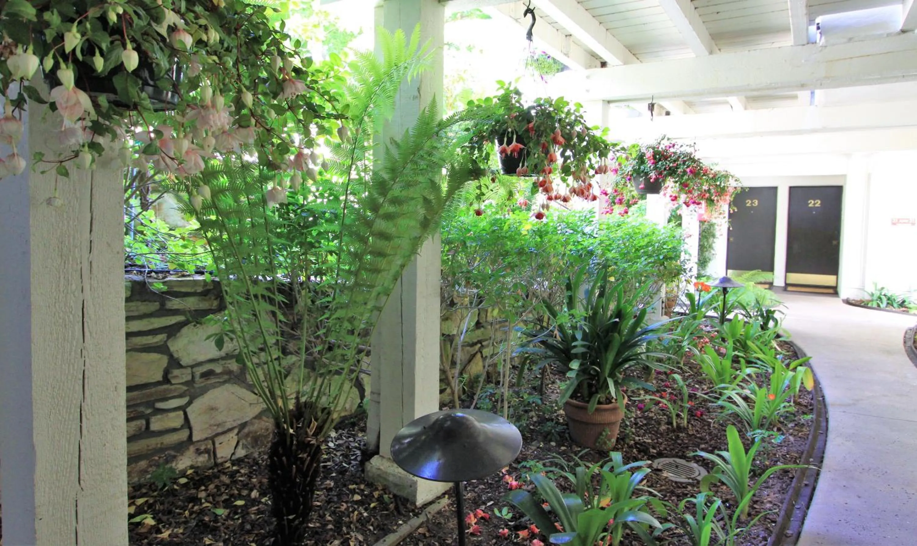 Garden in Lobos Lodge