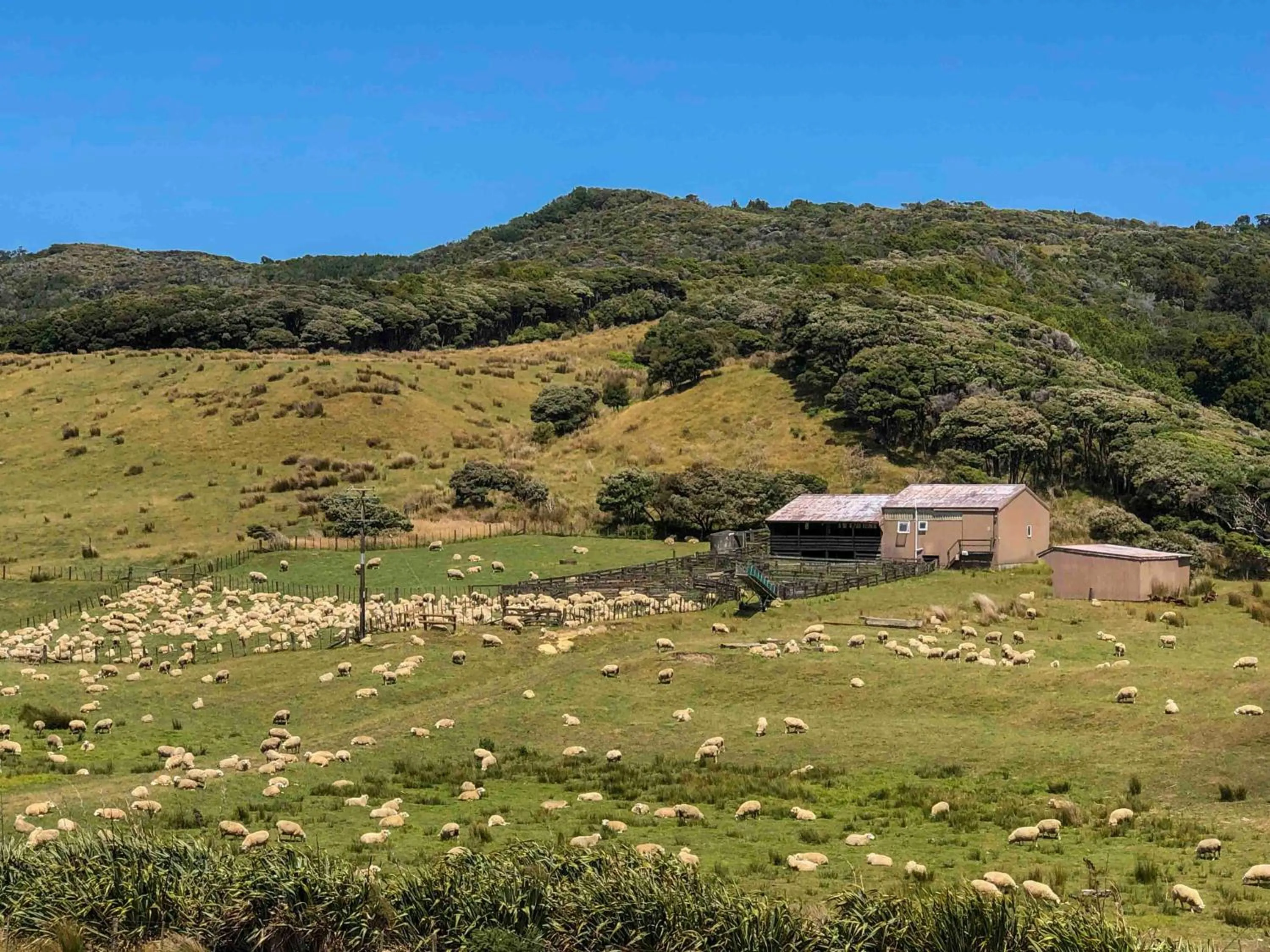 The Station House Motel