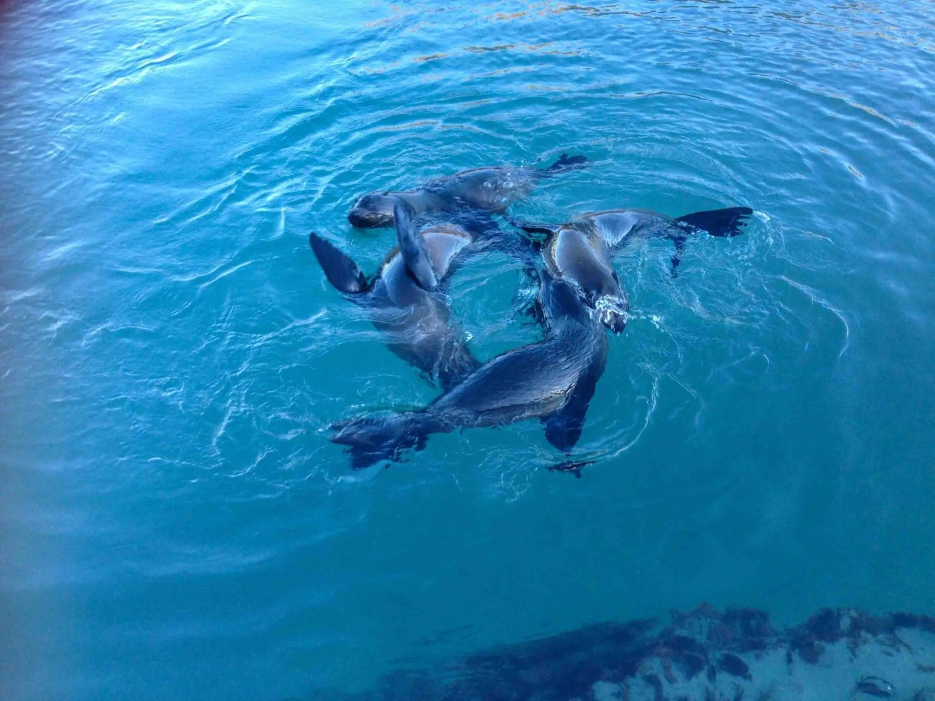 The Station House Motel