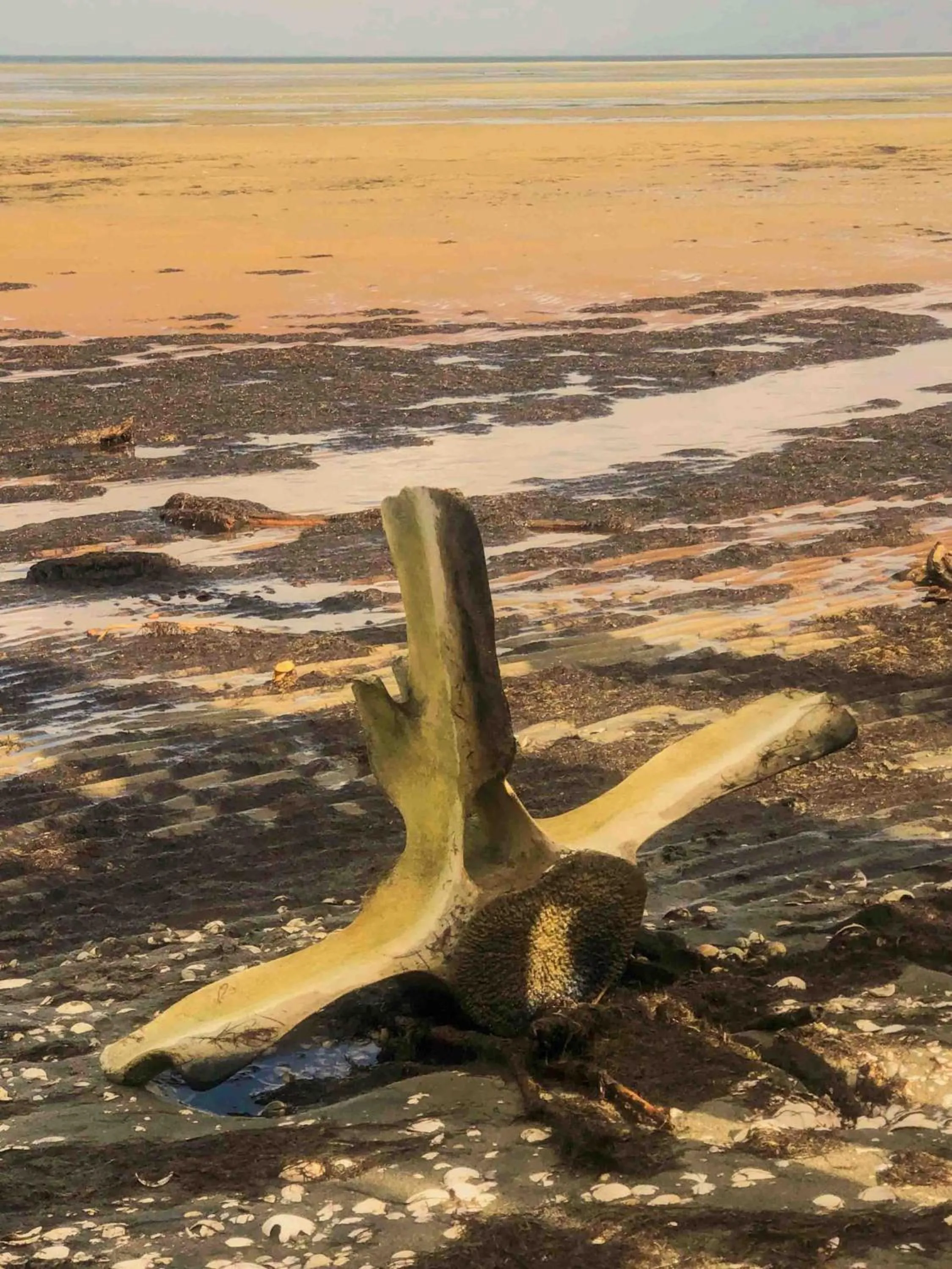 The Station House Motel