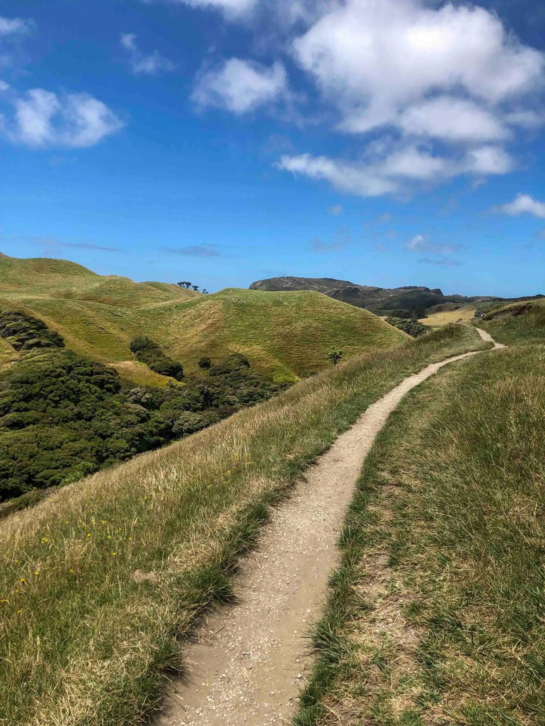 The Station House Motel
