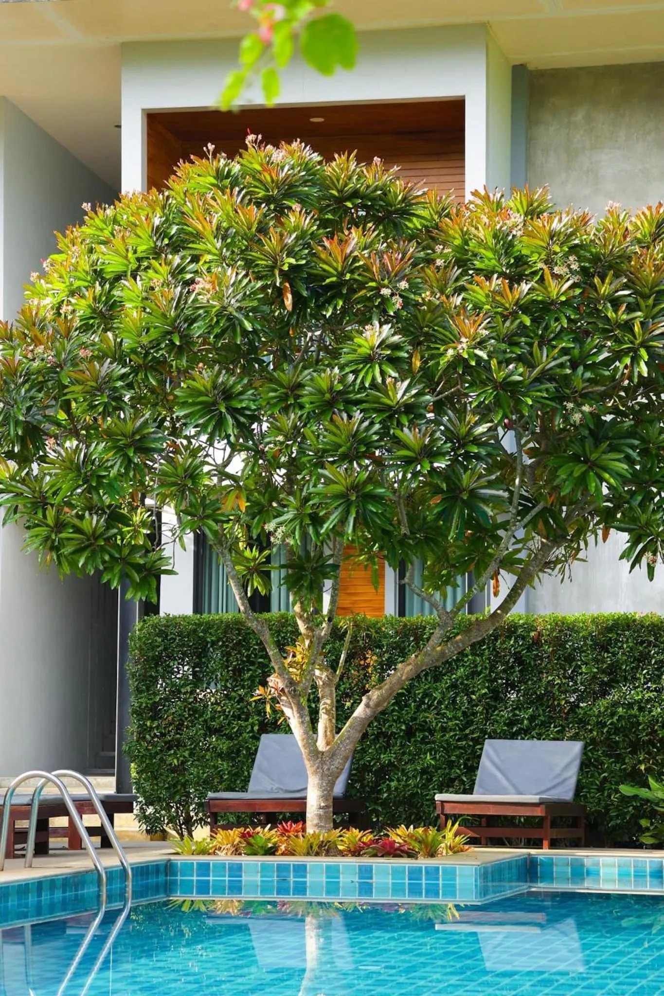 Pool view in Evergreen Koh Chang Resort