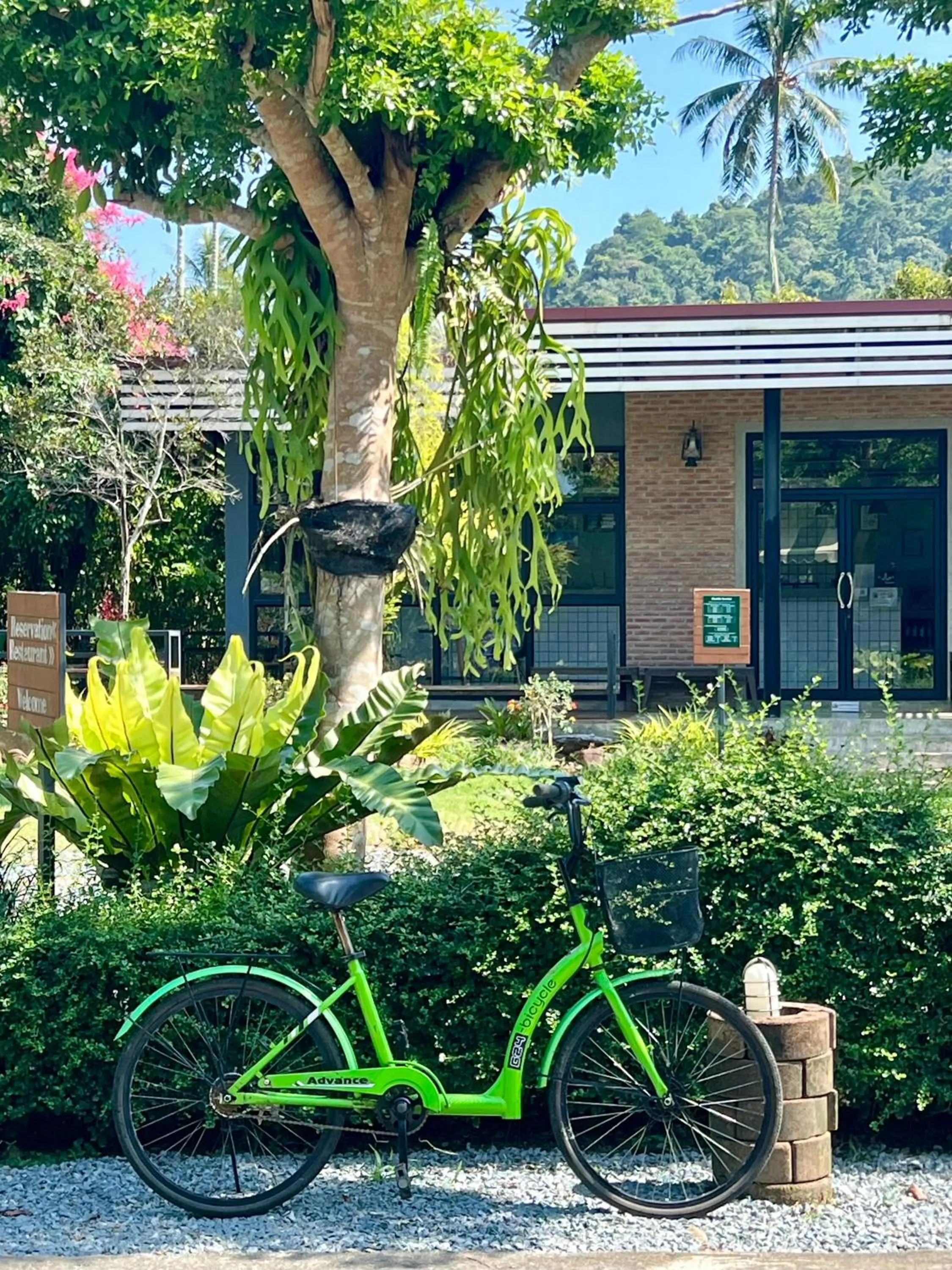 Cycling in Evergreen Koh Chang Resort