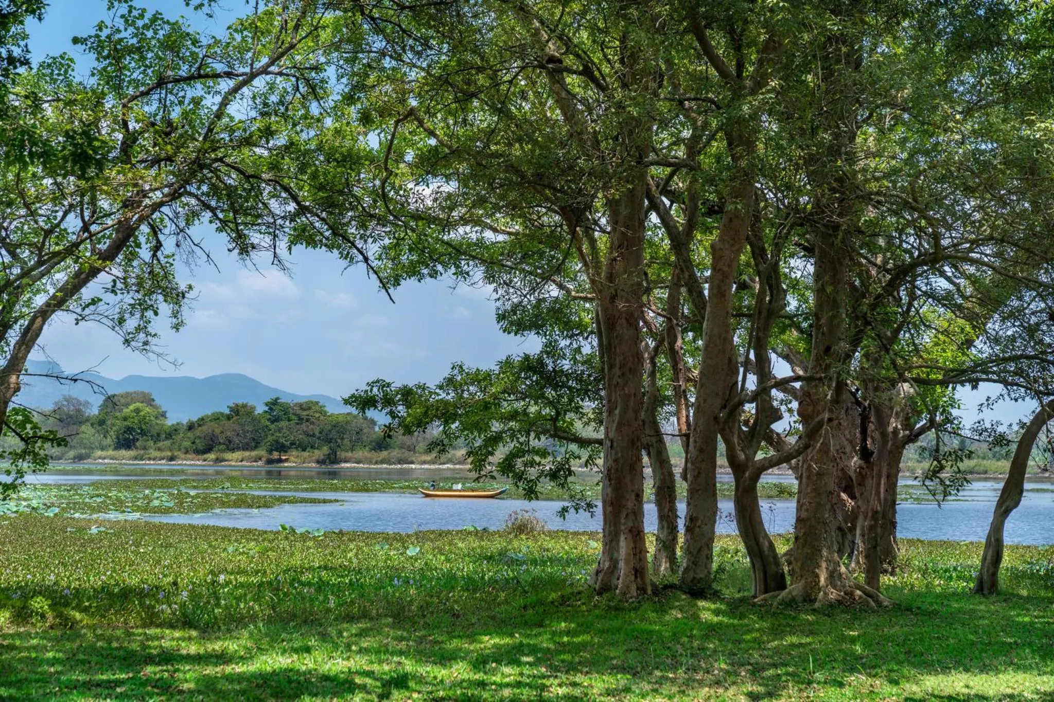 Property building in Cinnamon Lodge Habarana