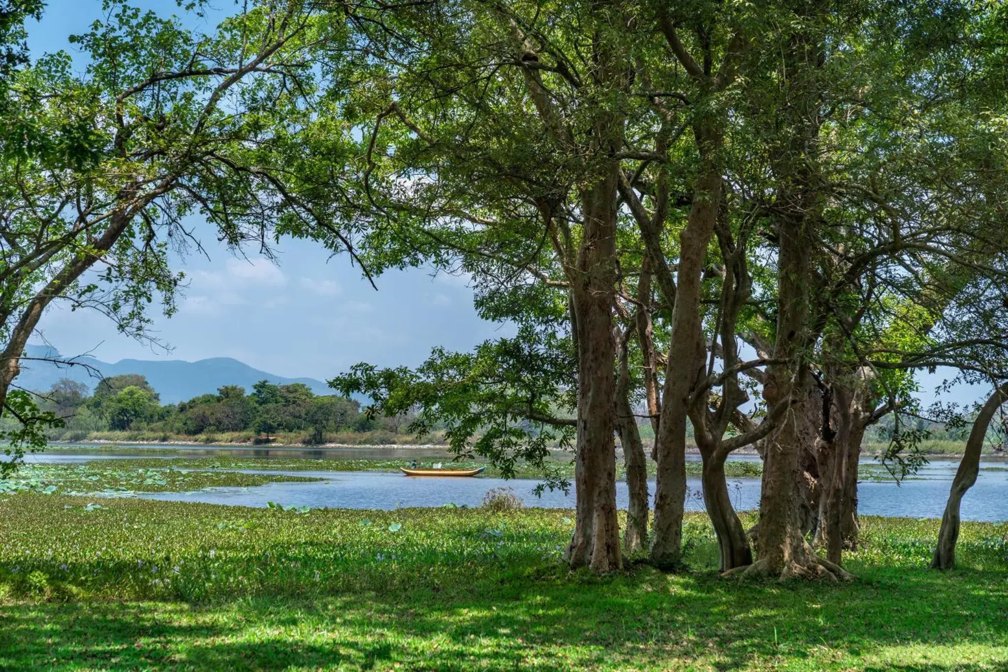 Property building in Cinnamon Lodge Habarana Property building in Cinnamon Lodge Habarana