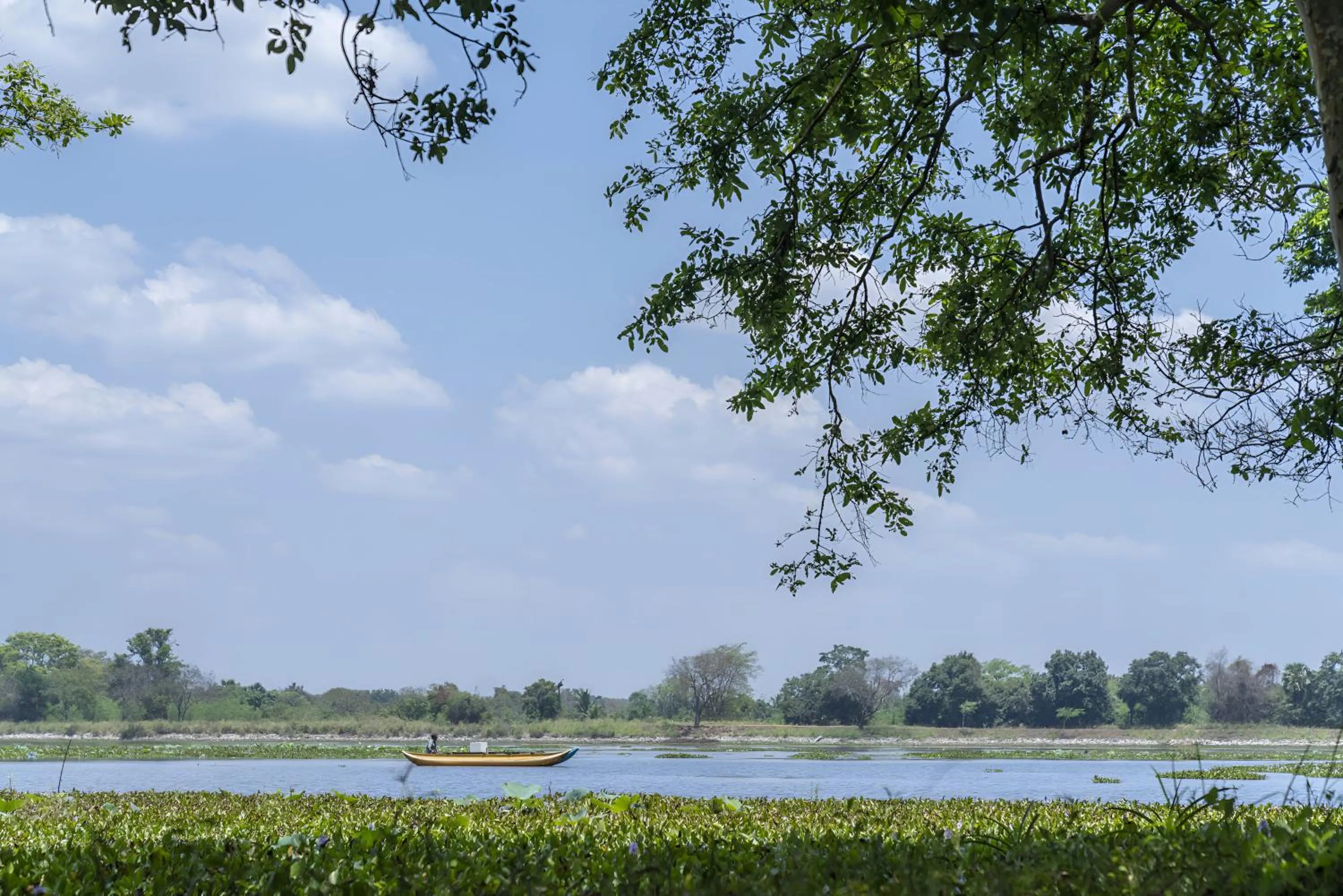 Property building in Cinnamon Lodge Habarana