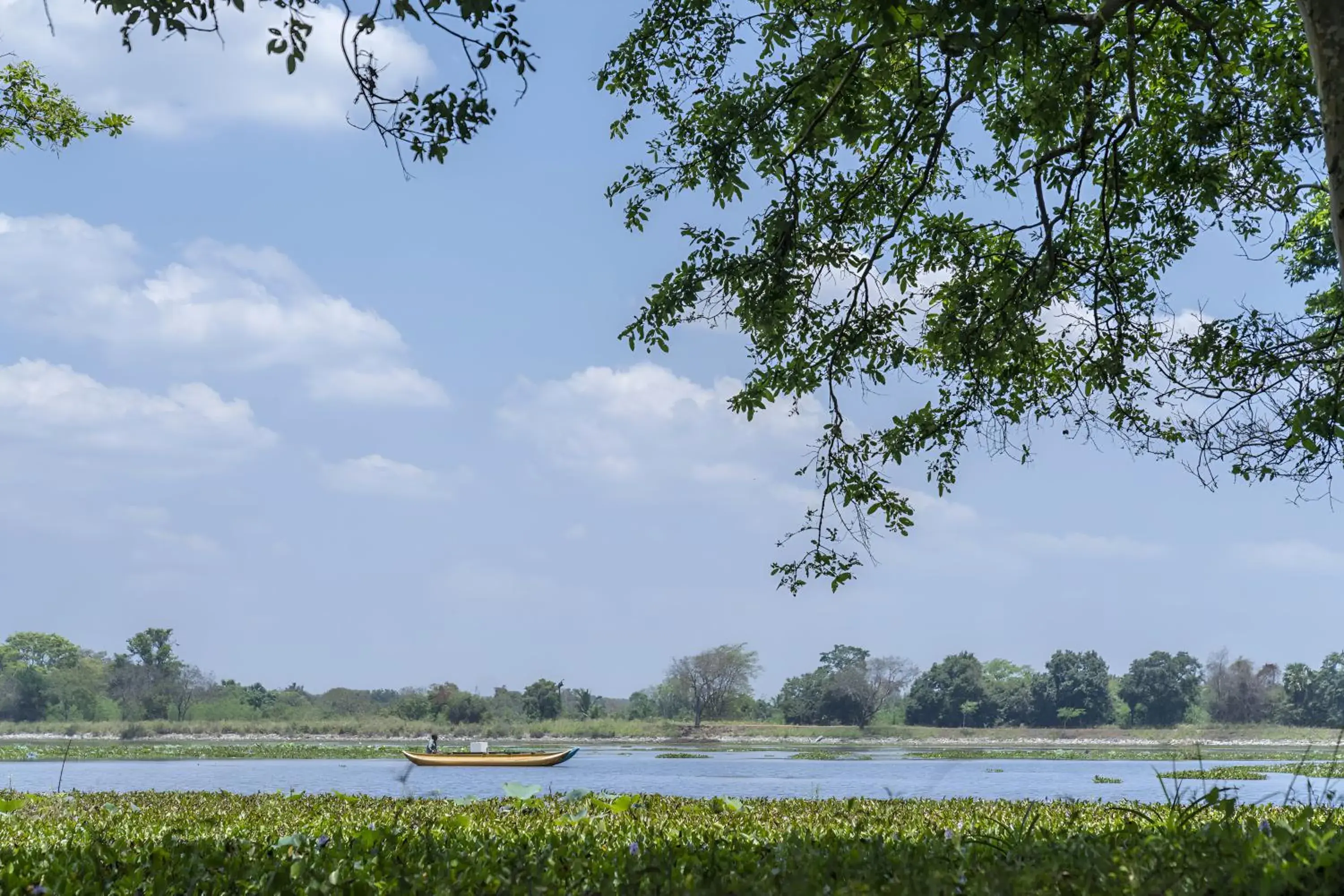 Property building in Cinnamon Lodge Habarana Property building in Cinnamon Lodge Habarana