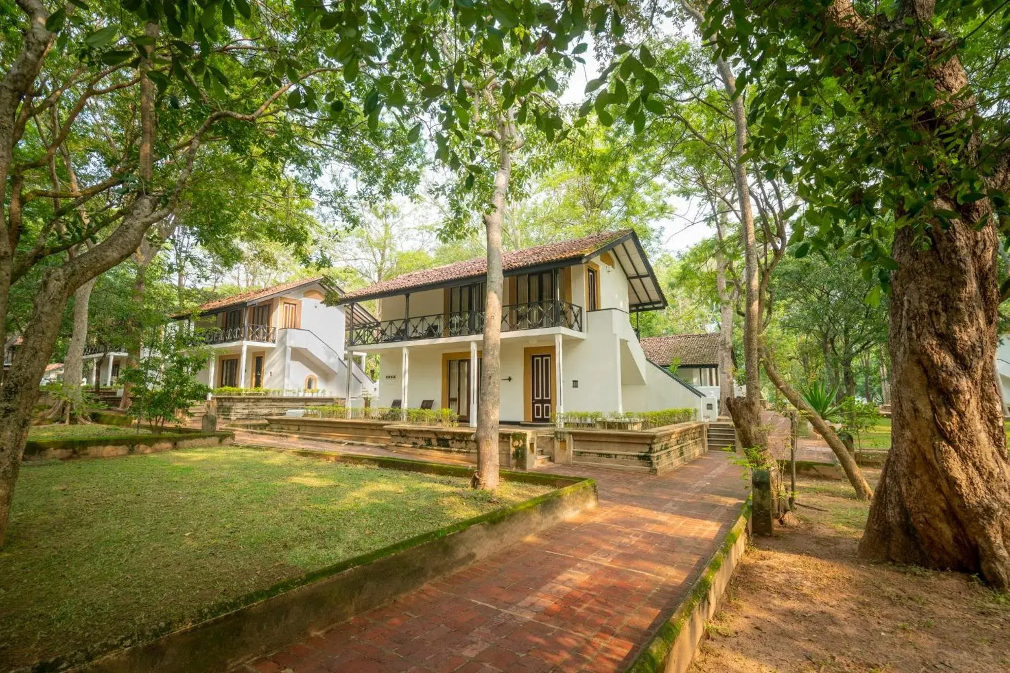 Deluxe Twin with Partial Lake View - single occupancy - Discounts (15% on F&B, 10% on SPA) in Cinnamon Lodge Habarana Deluxe Twin with Partial Lake View - single occupancy - Discounts (15% on F&B, 10% on SPA) in Cinnamon Lodge Habarana