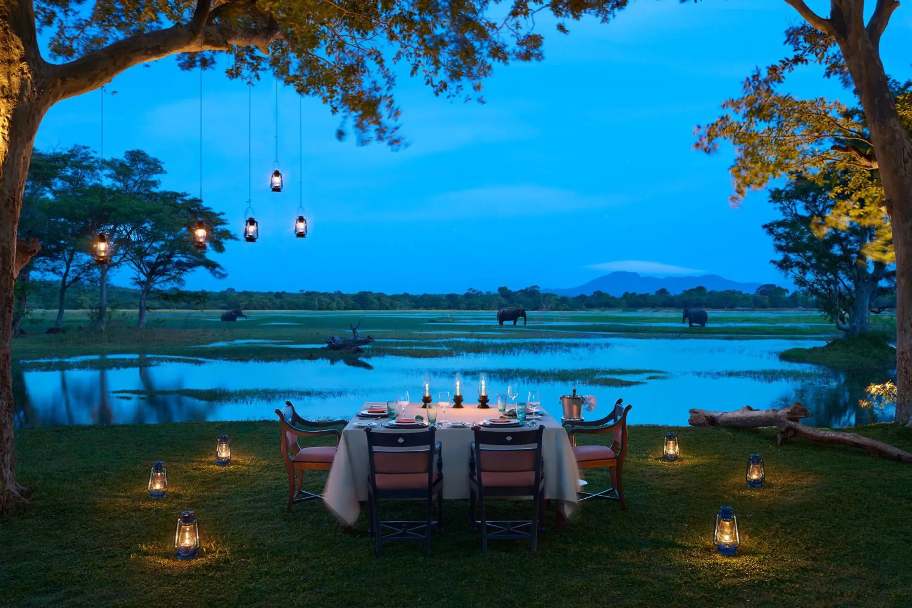 Restaurant/places to eat in Cinnamon Lodge Habarana Restaurant/places to eat in Cinnamon Lodge Habarana