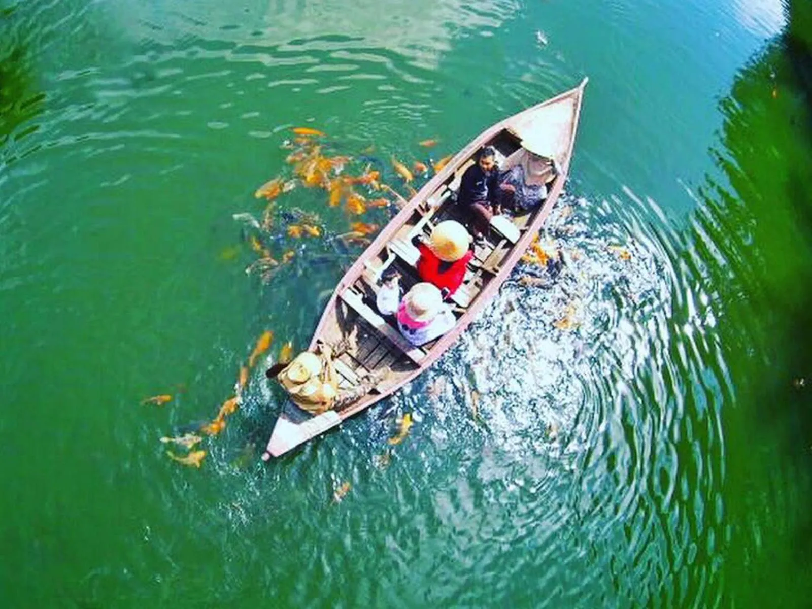 Activities in Kampung Sampireun Resort & Spa