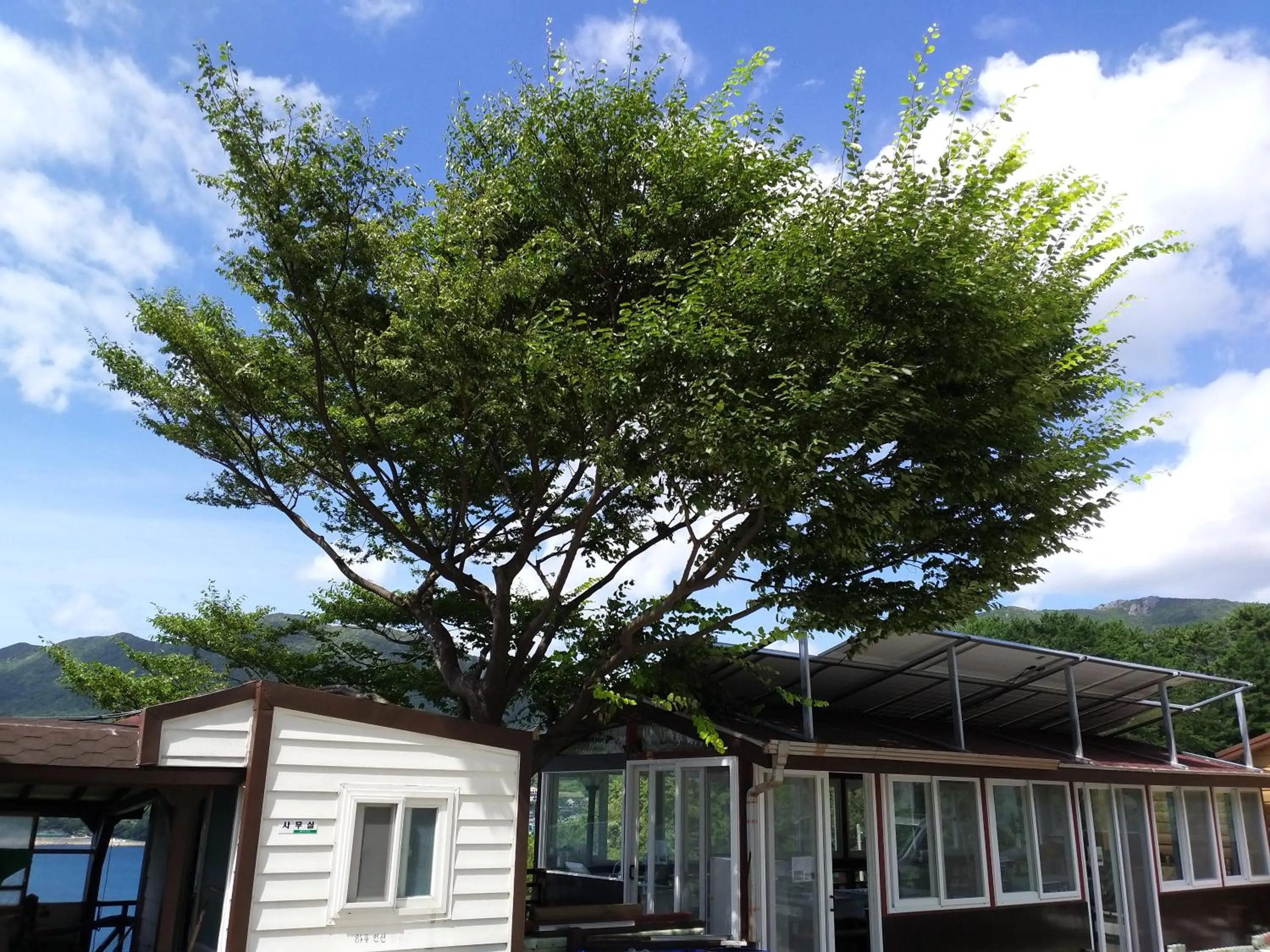 BBQ facilities in oneday in geoje