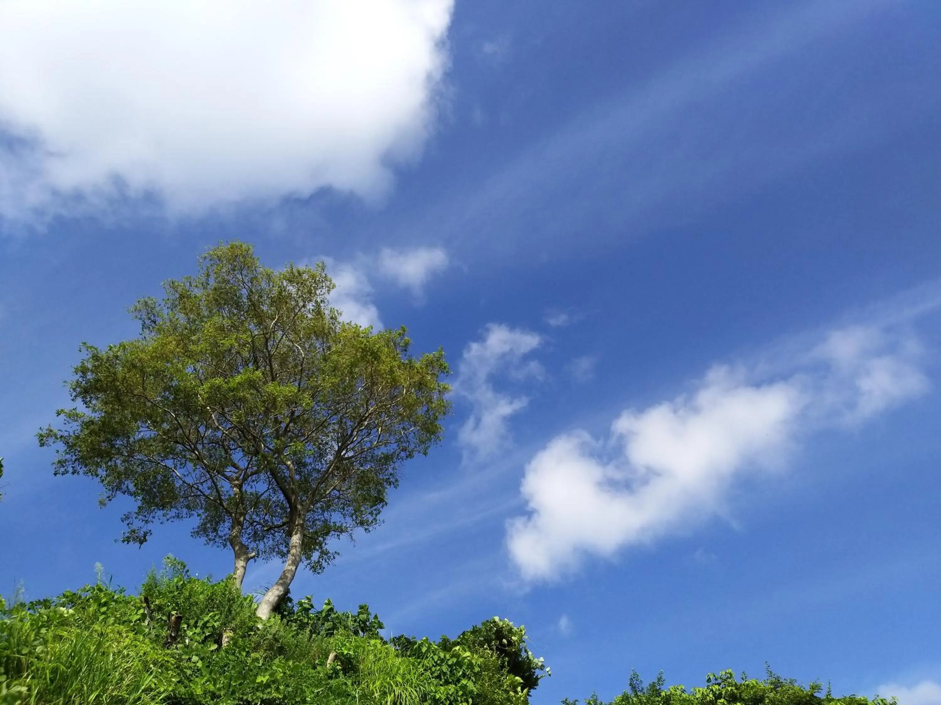 Beach in oneday in geoje