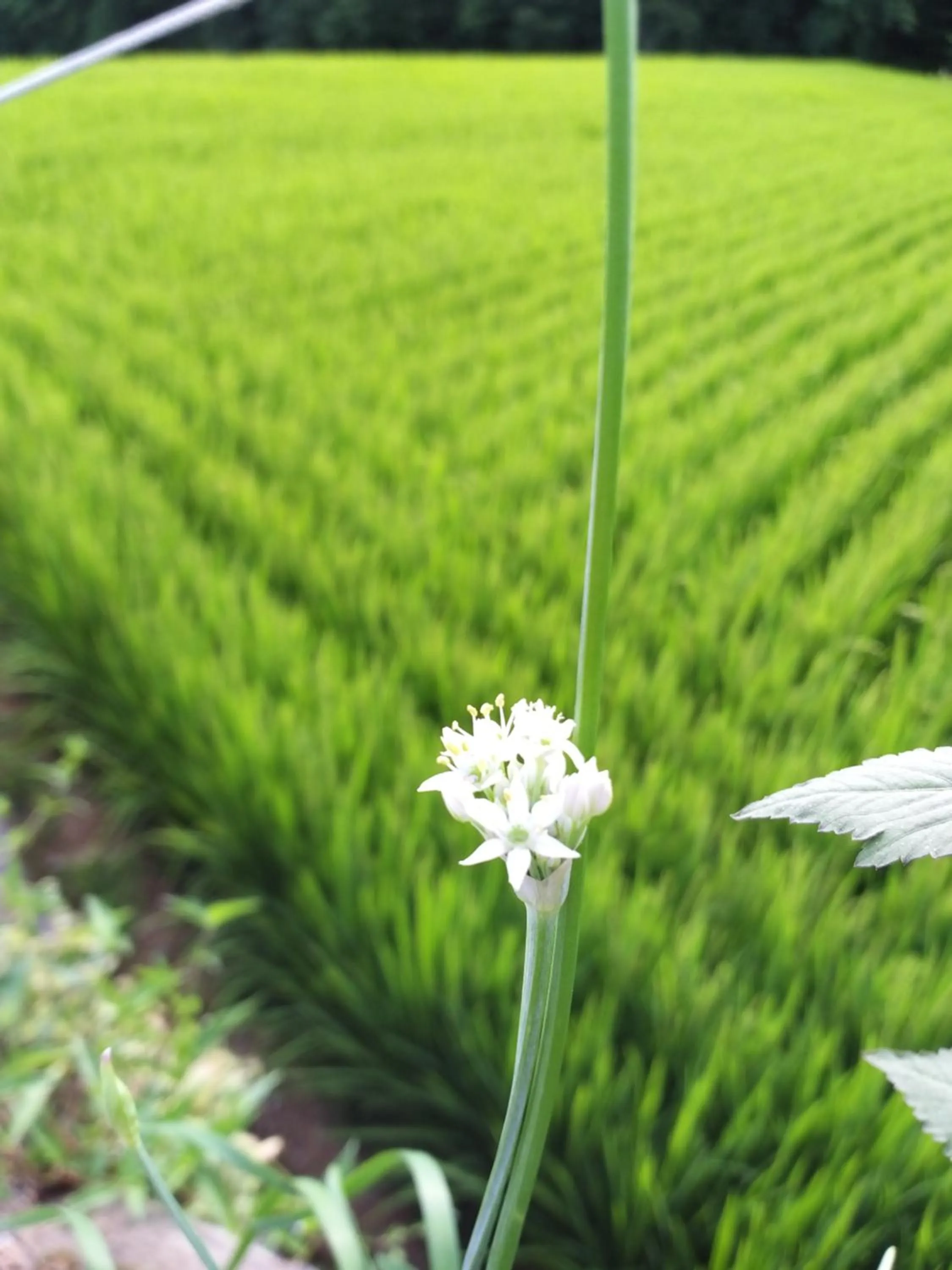 Beach in oneday in geoje