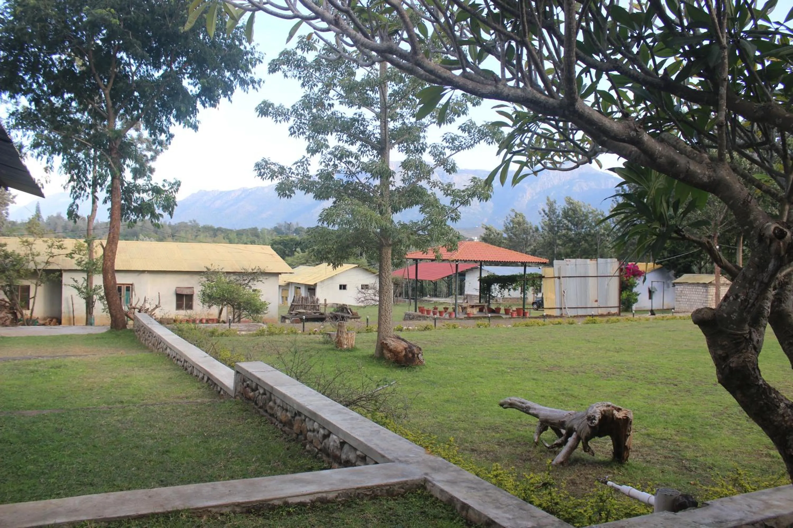 Garden in Singaras Coffee Country