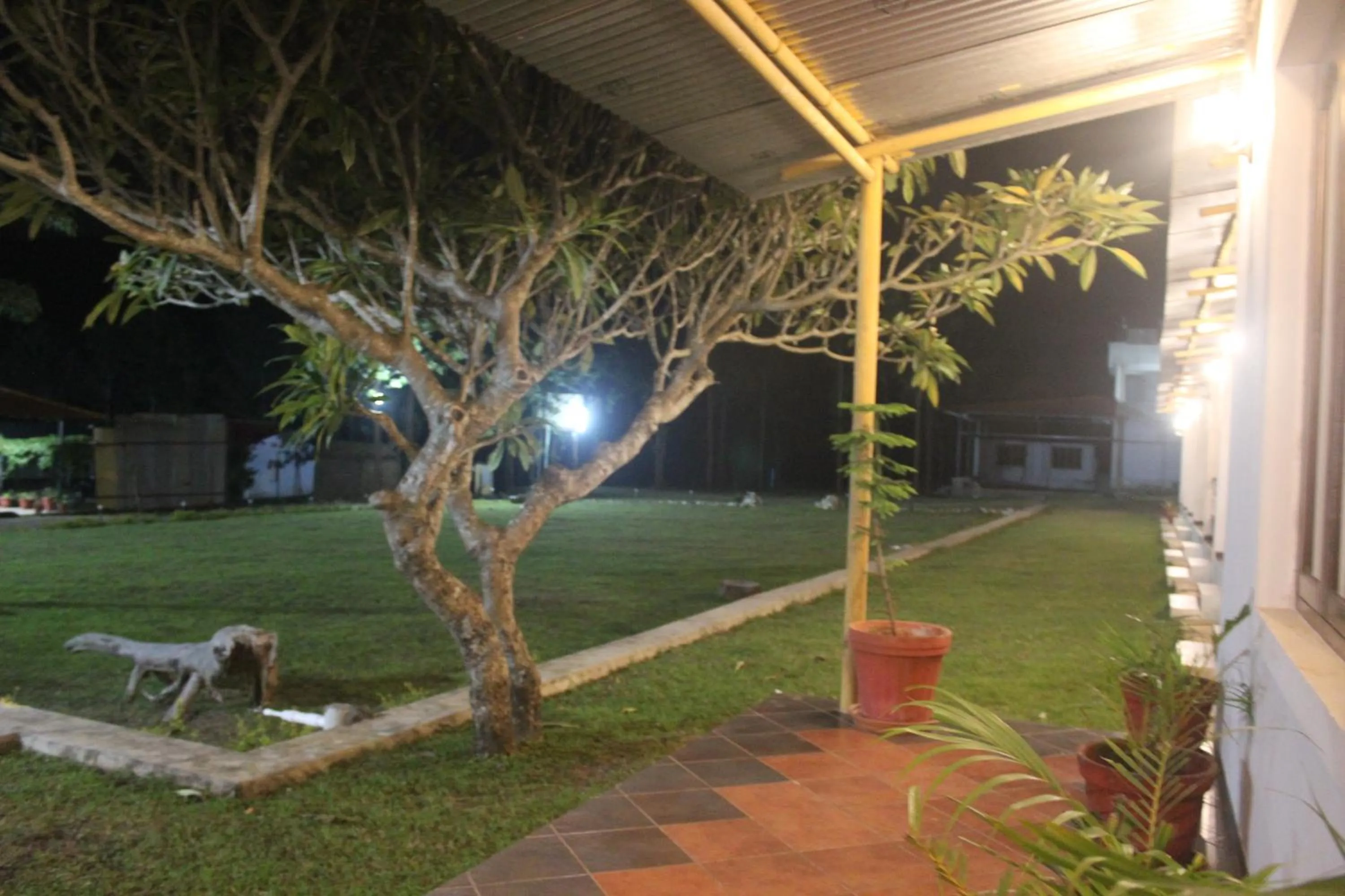 Night in Singaras Coffee Country