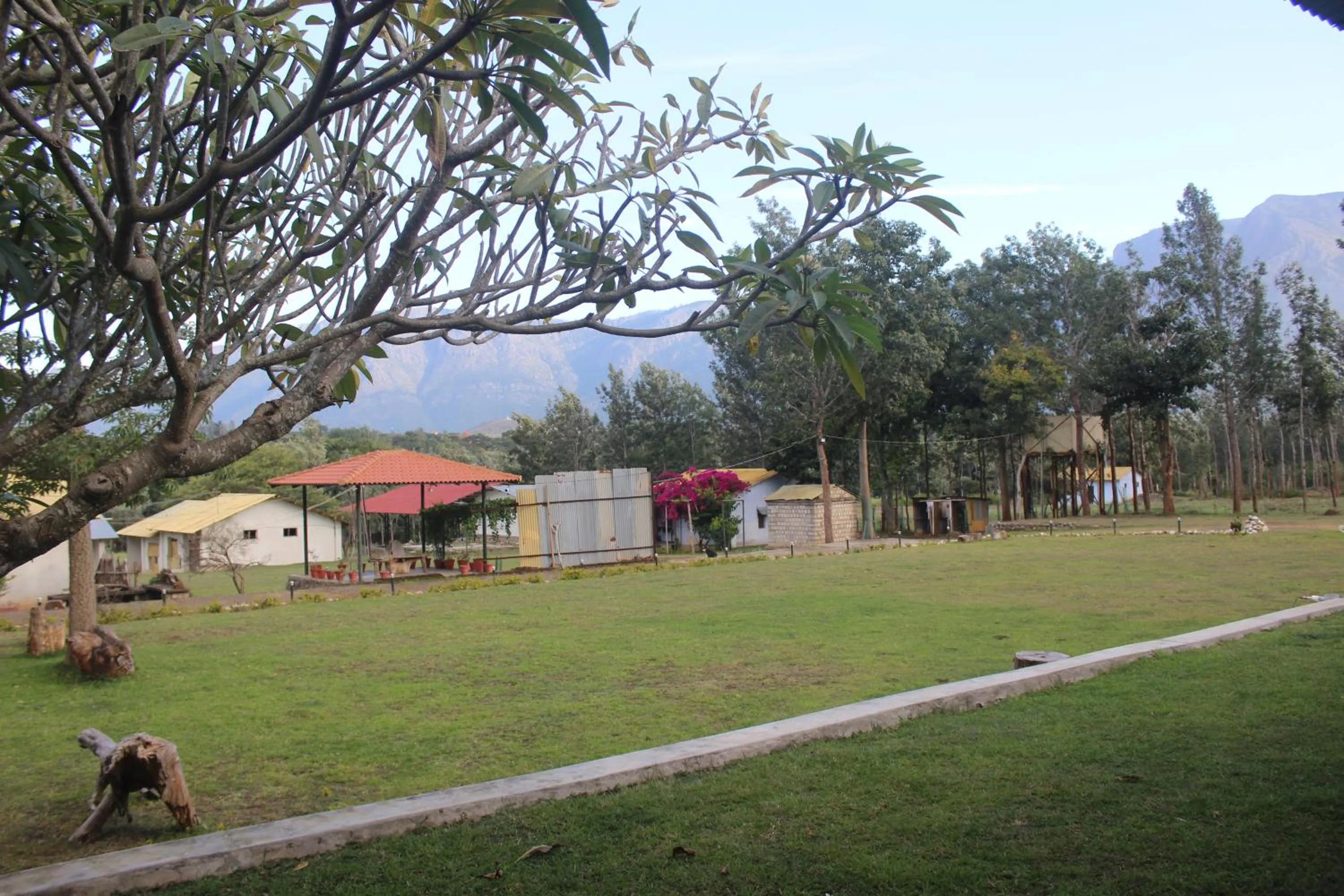 Garden in Singaras Coffee Country