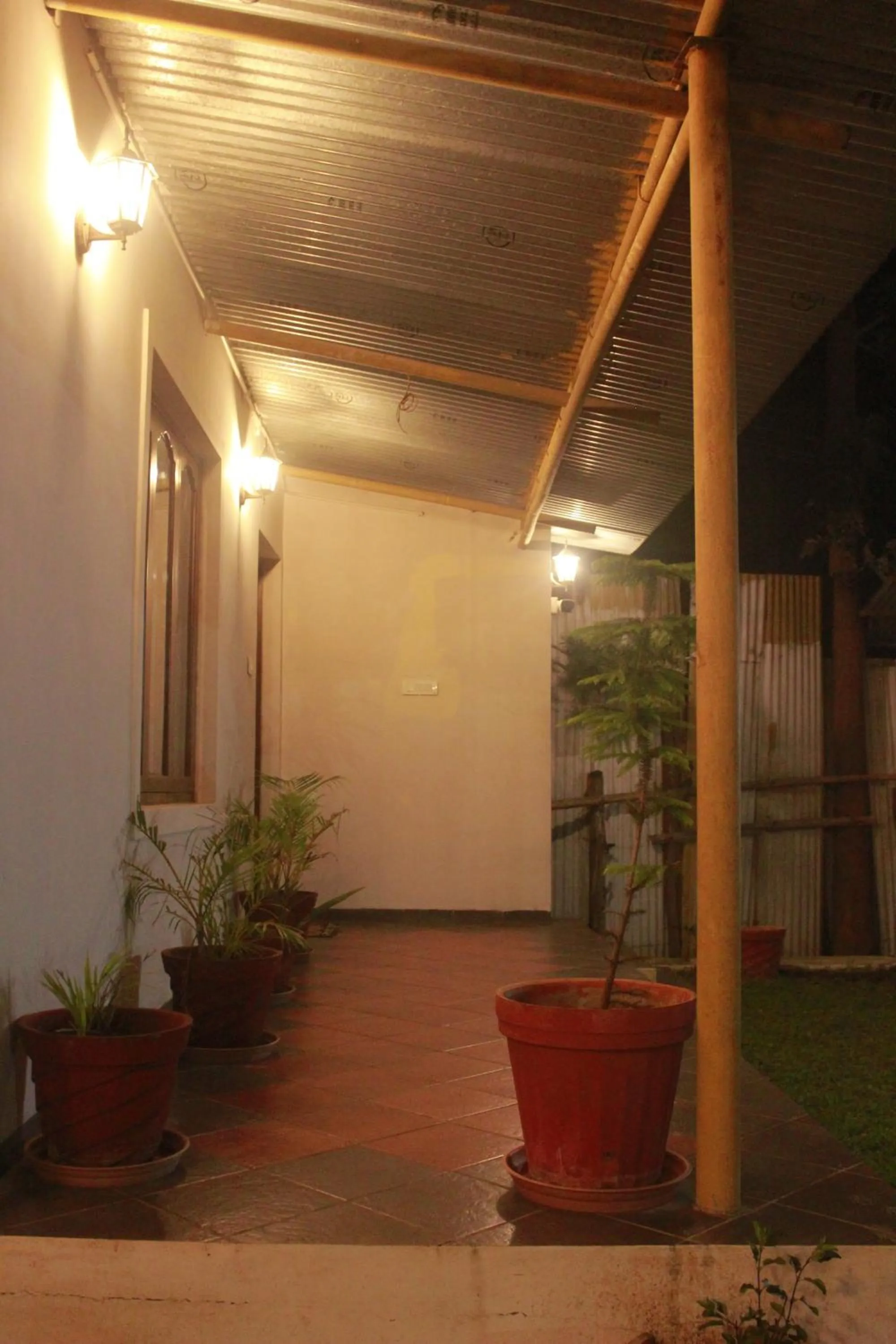 Night in Singaras Coffee Country