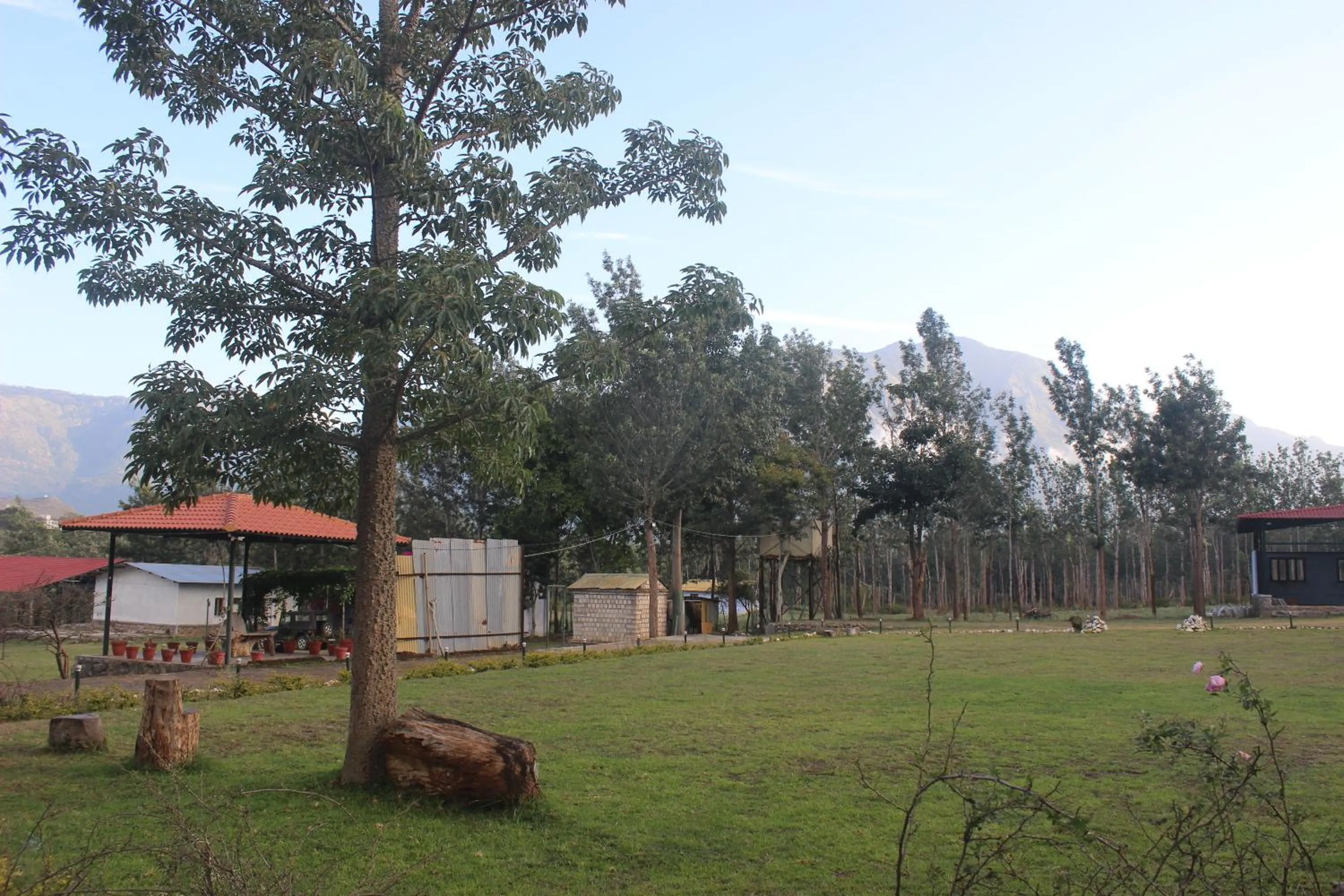 Garden in Singaras Coffee Country