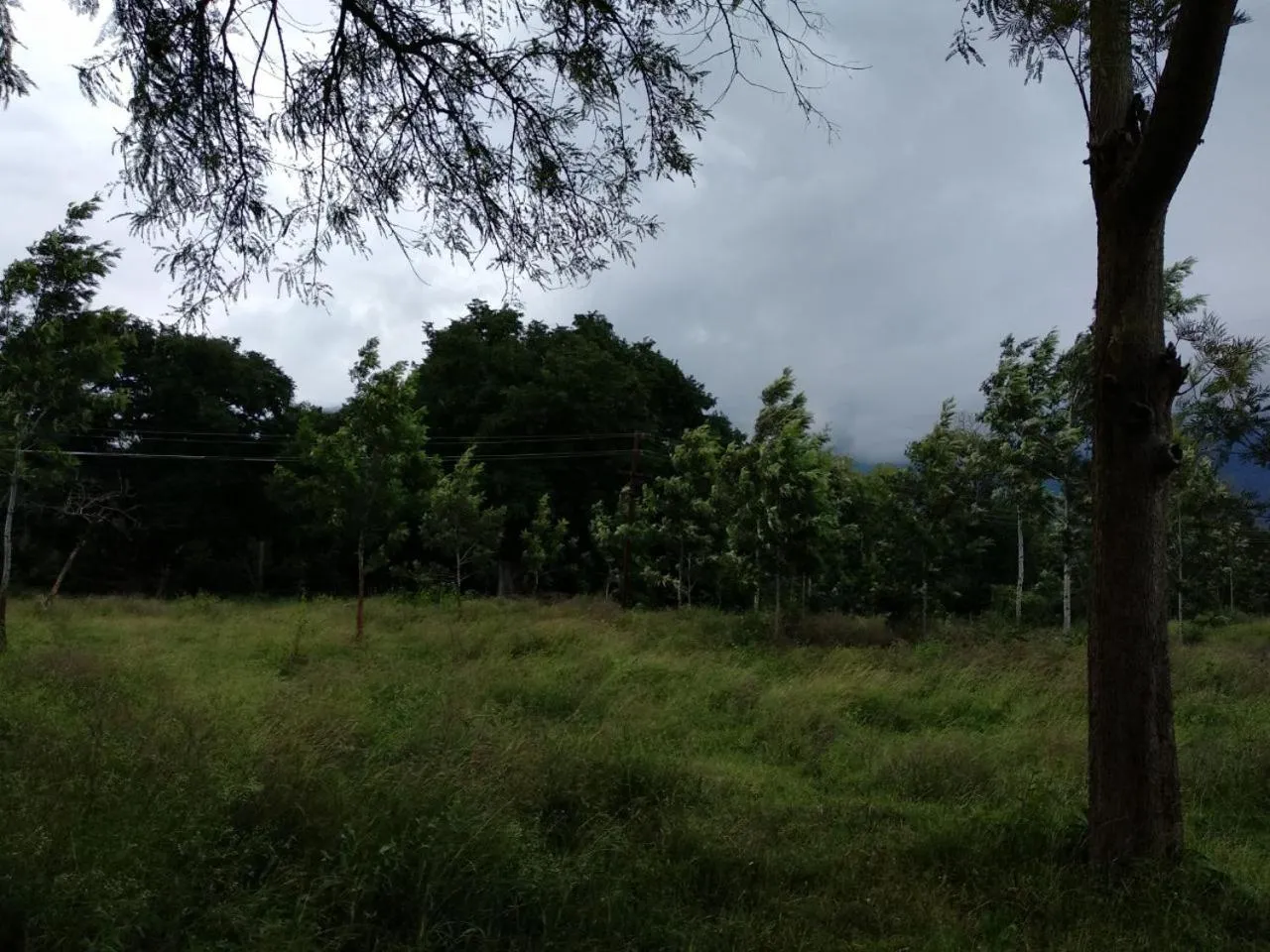 Property building in Singaras Coffee Country