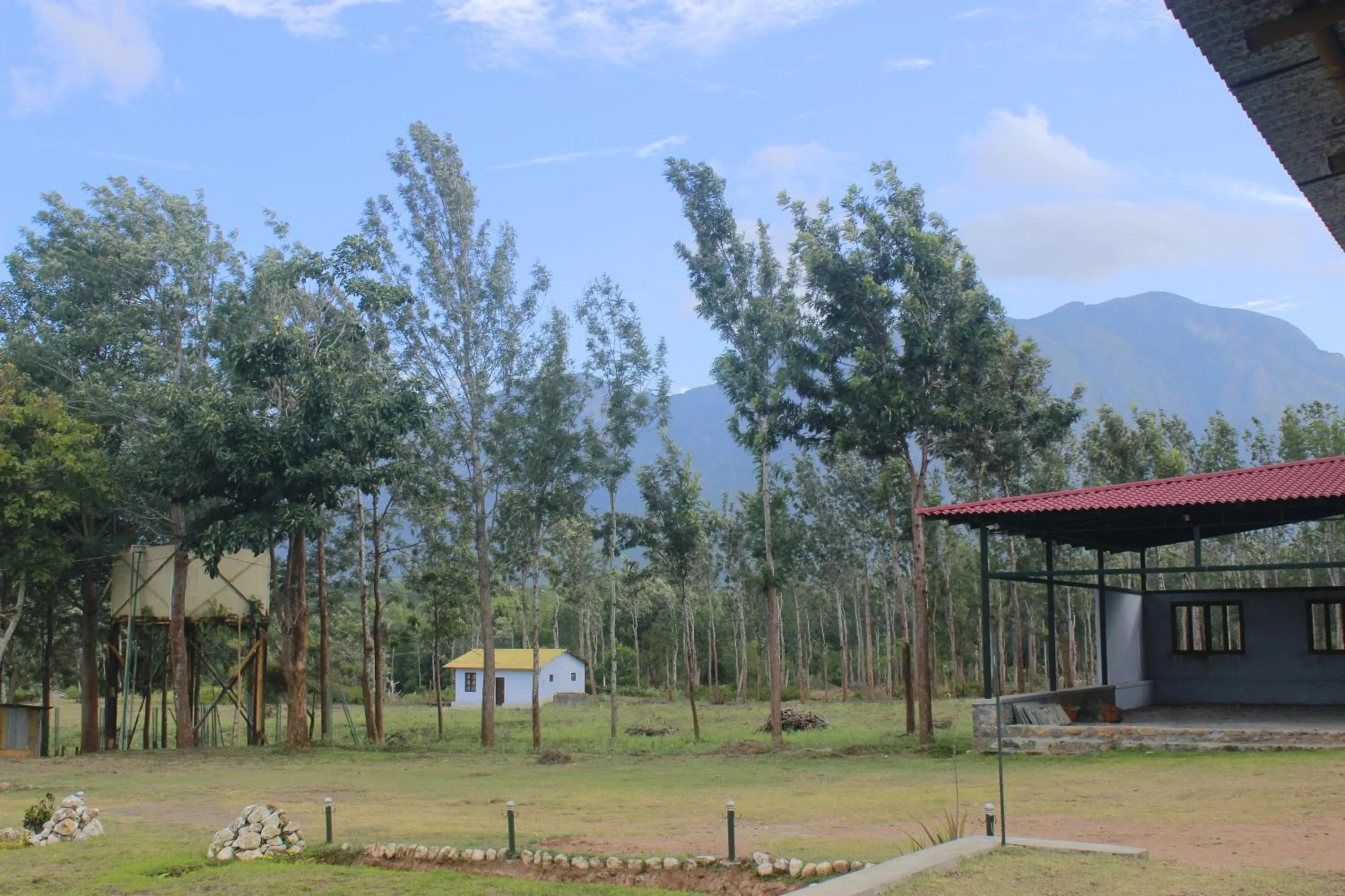 View (from property/room) in Singaras Coffee Country