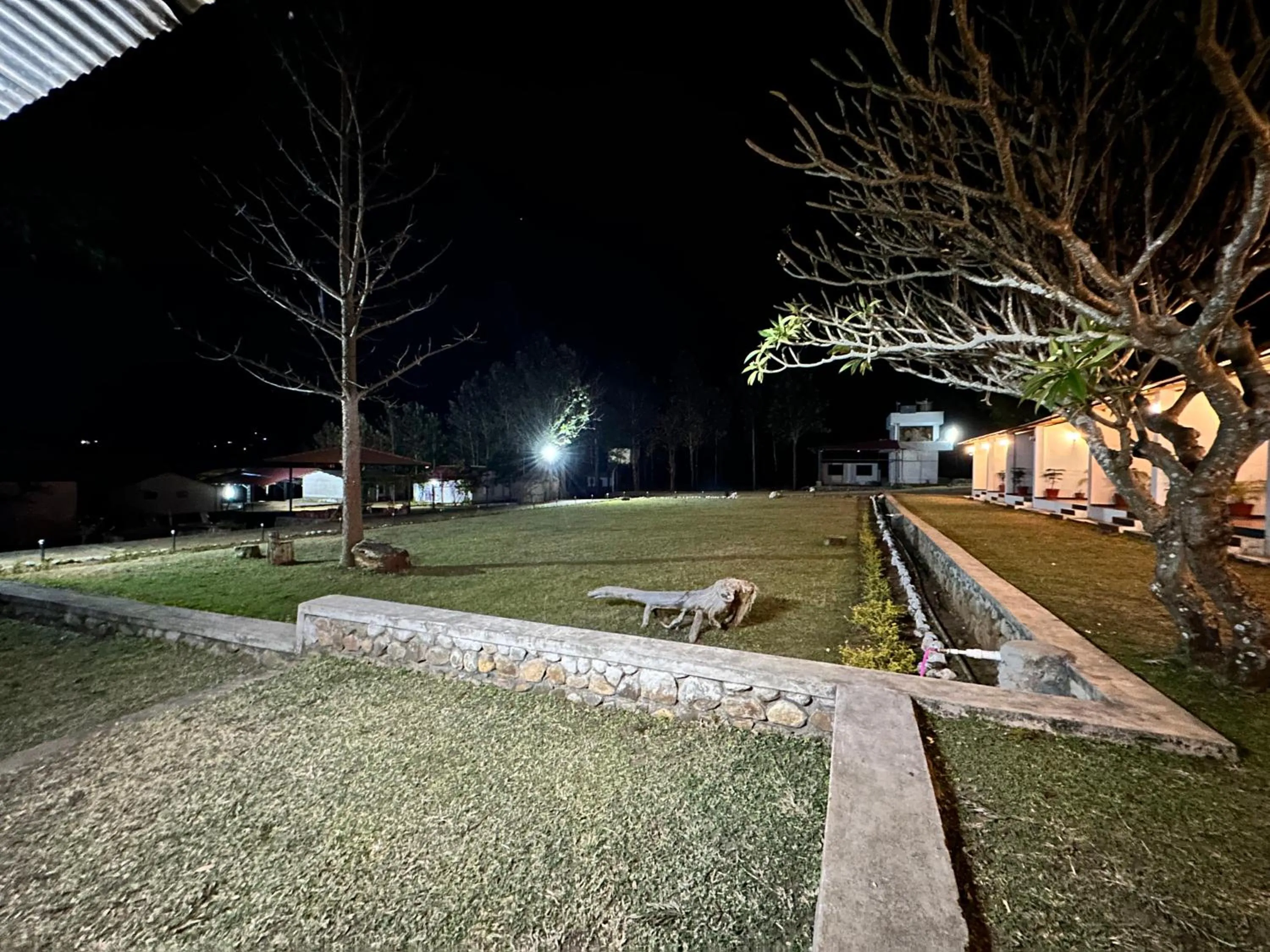 Garden in Singaras Coffee Country