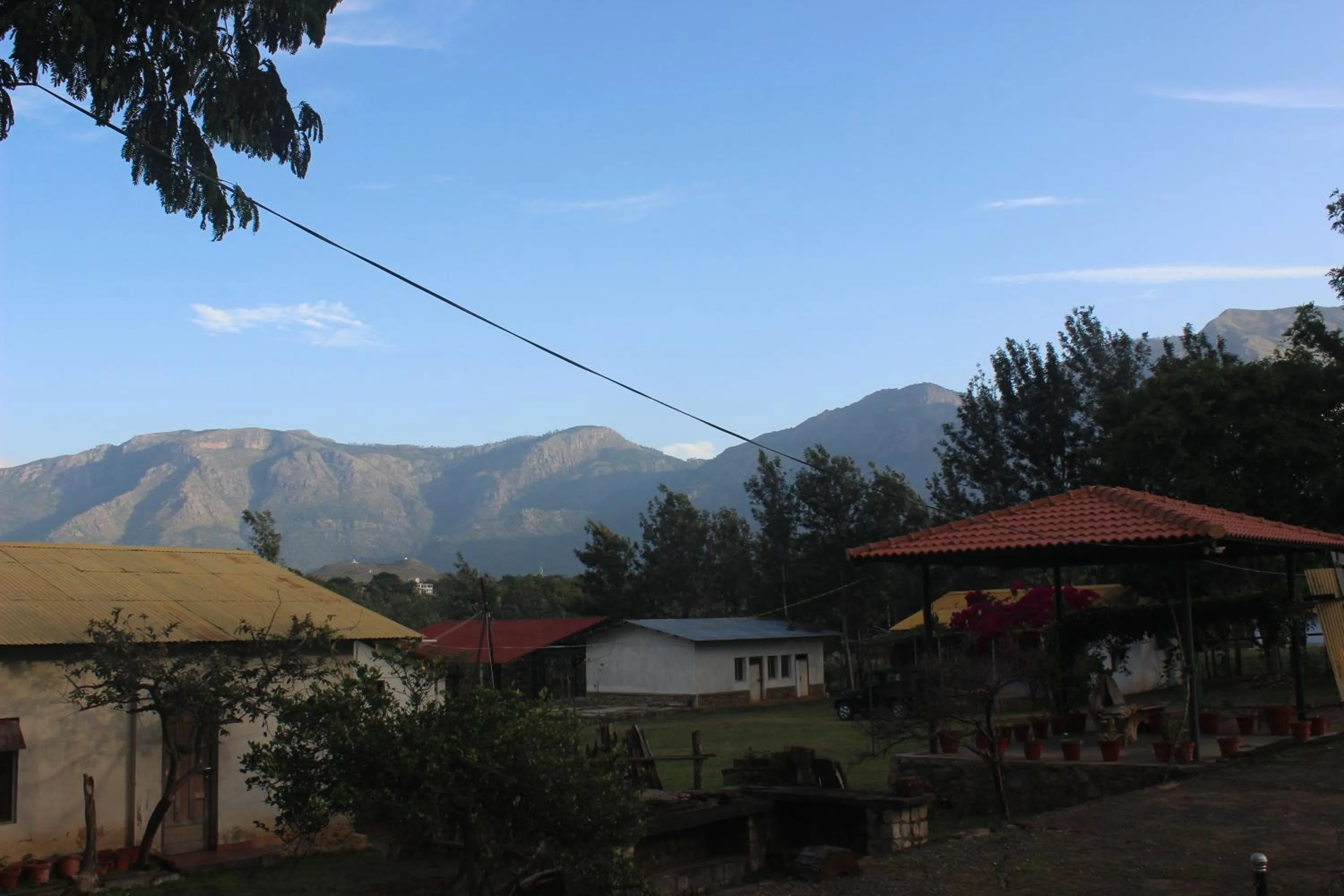 View (from property/room) in Singaras Coffee Country