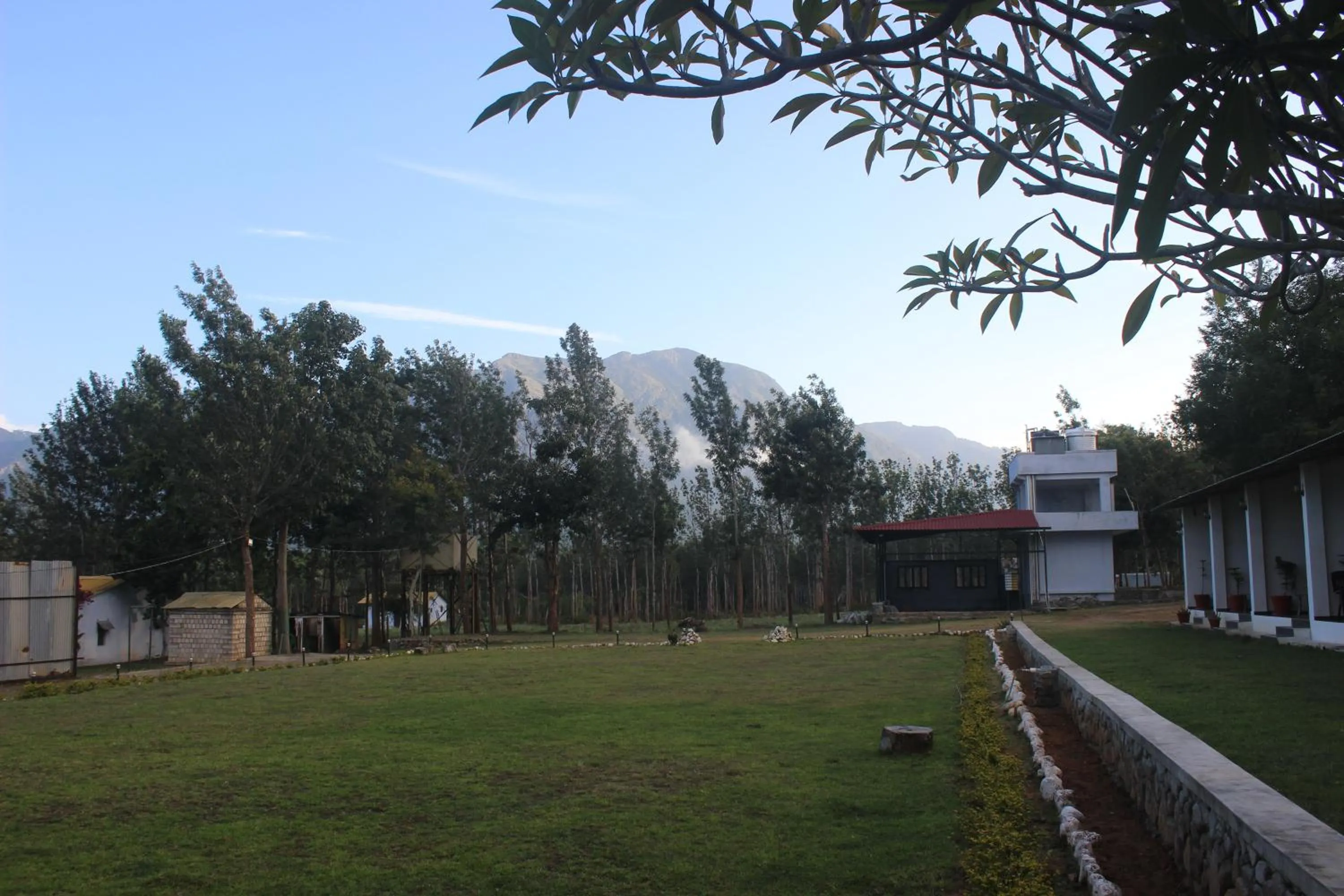 Garden view in Singaras Coffee Country