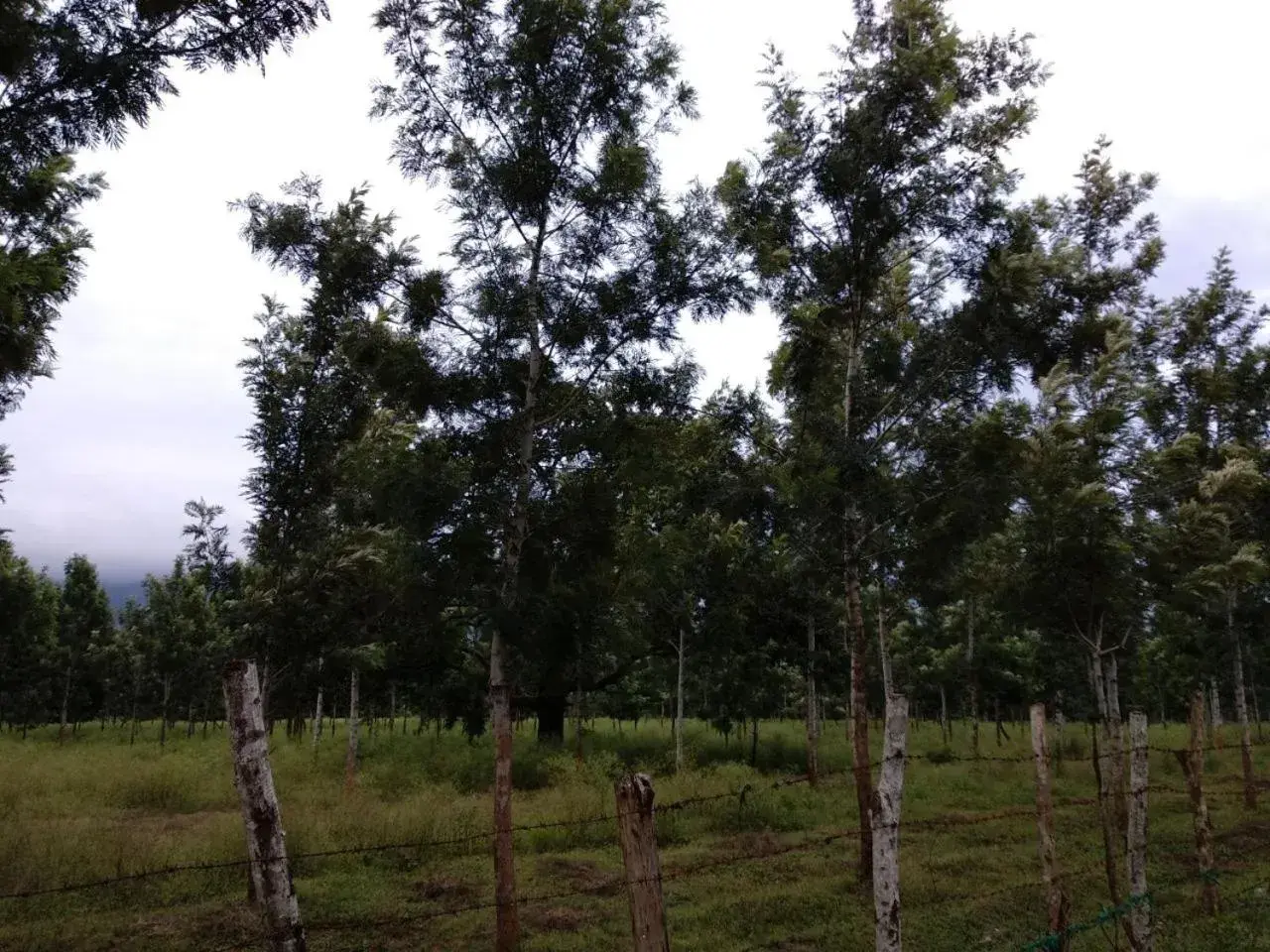 Property building in Singaras Coffee Country Property building in Singaras Coffee Country