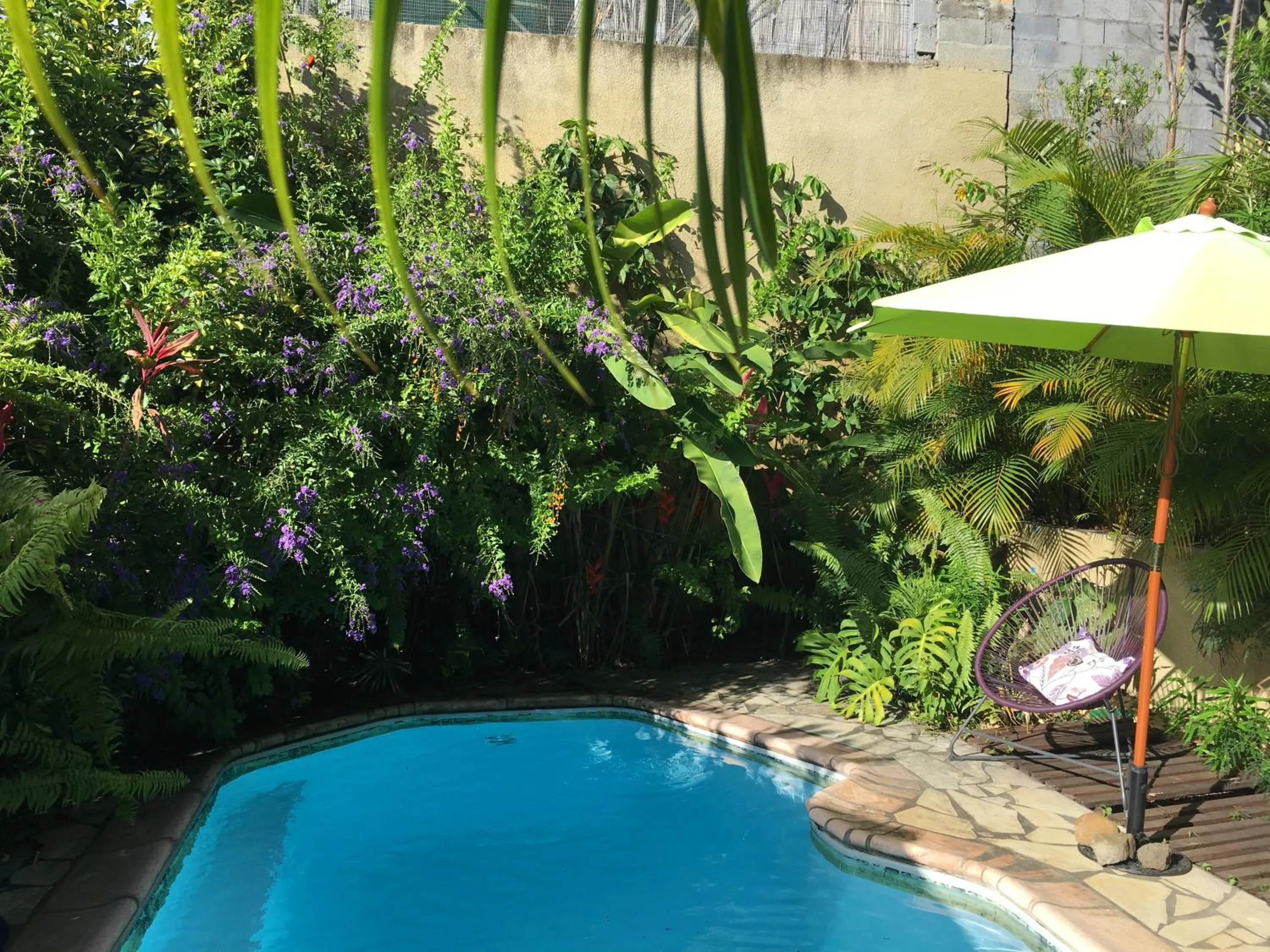 Swimming pool in Le Chalet dAZAE
