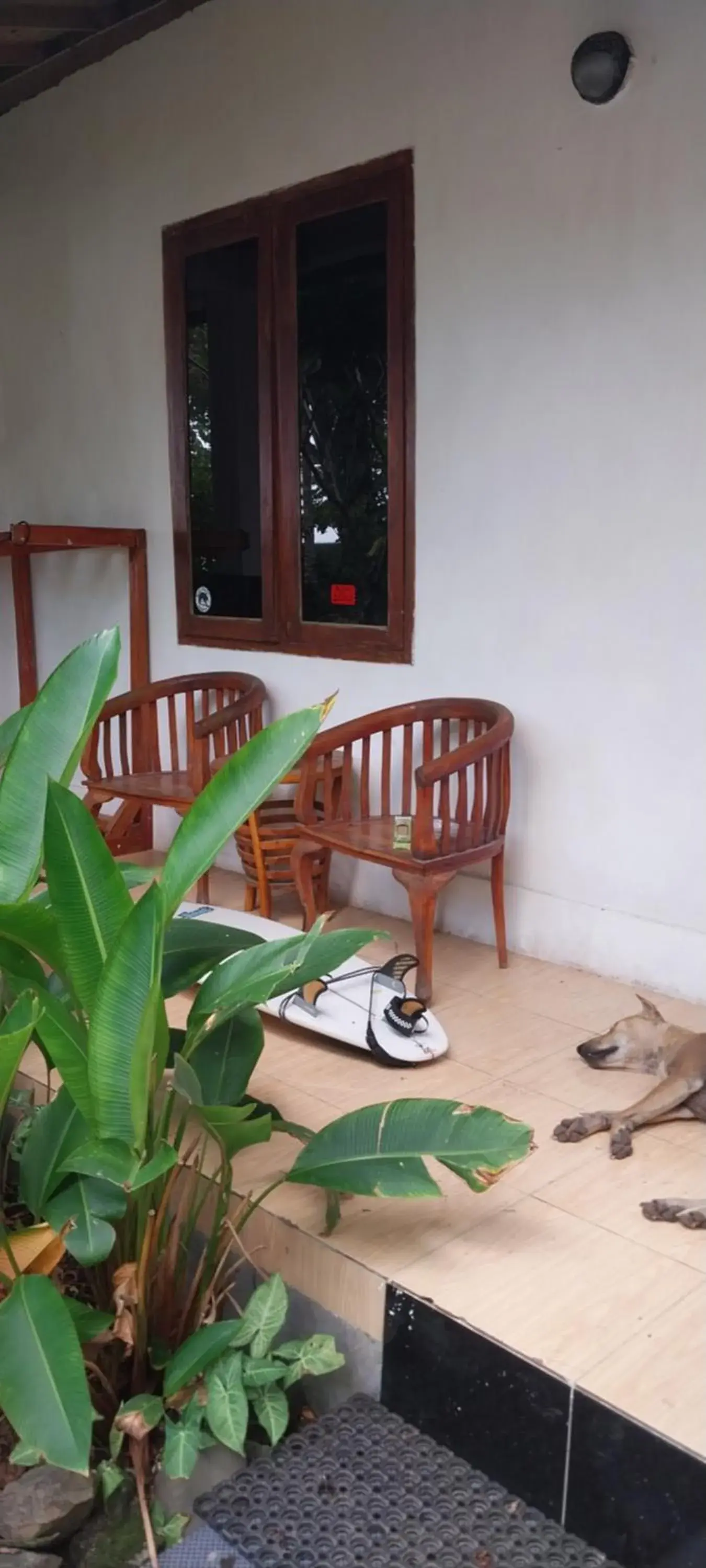 Mixed Dormitory Room in Kambuna Bungalow Mixed Dormitory Room in Kambuna Bungalow