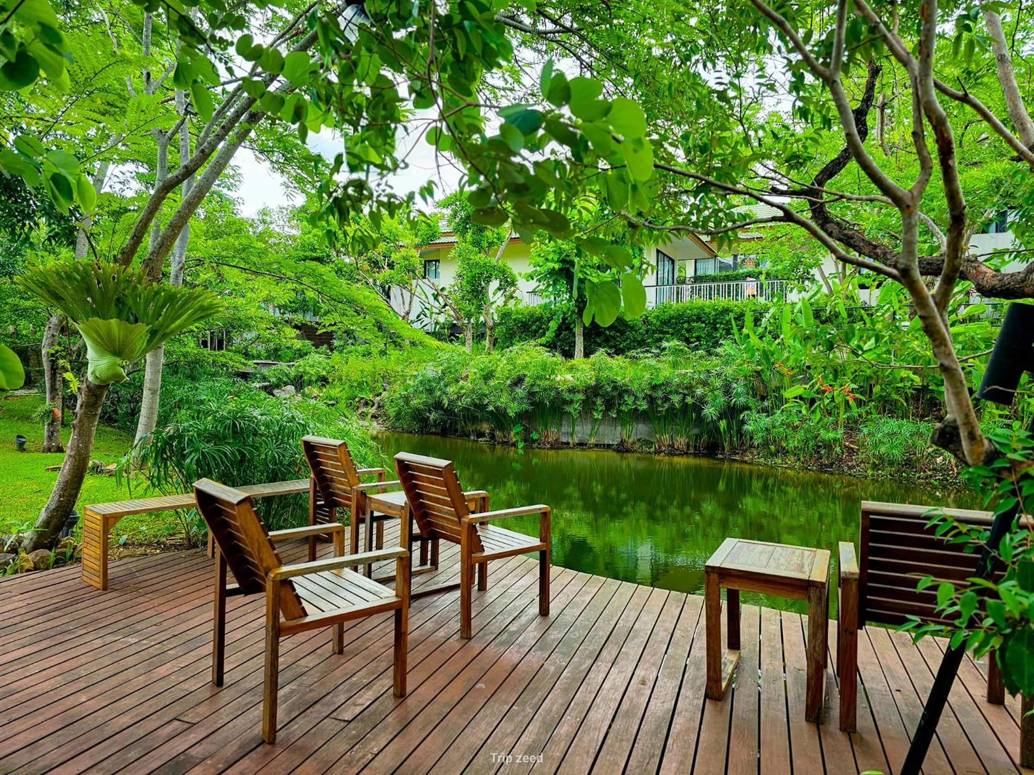 Garden view in Vivace Khaoyai