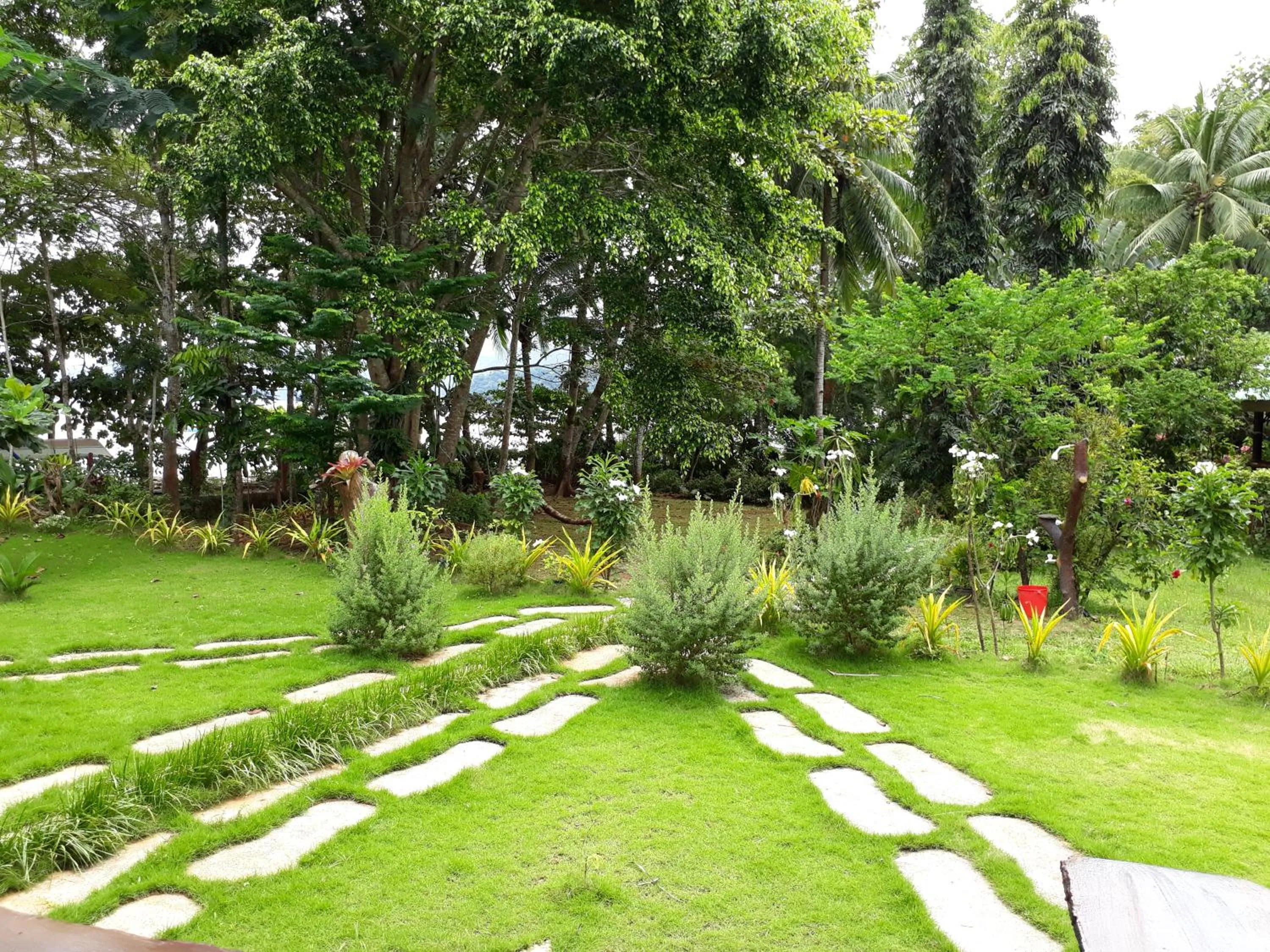 Garden in Dabdab Tourist Inn