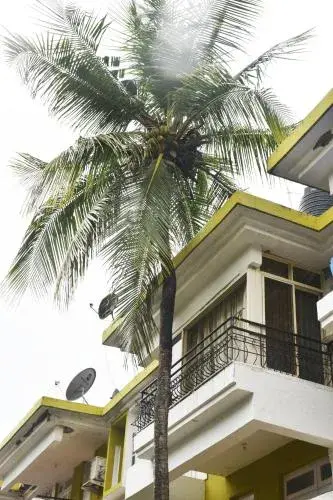 BEAUTIFUL SPACIOUS STUDIO APT IN CANDOLIM with Wifi BEAUTIFUL SPACIOUS STUDIO APT IN CANDOLIM with Wifi