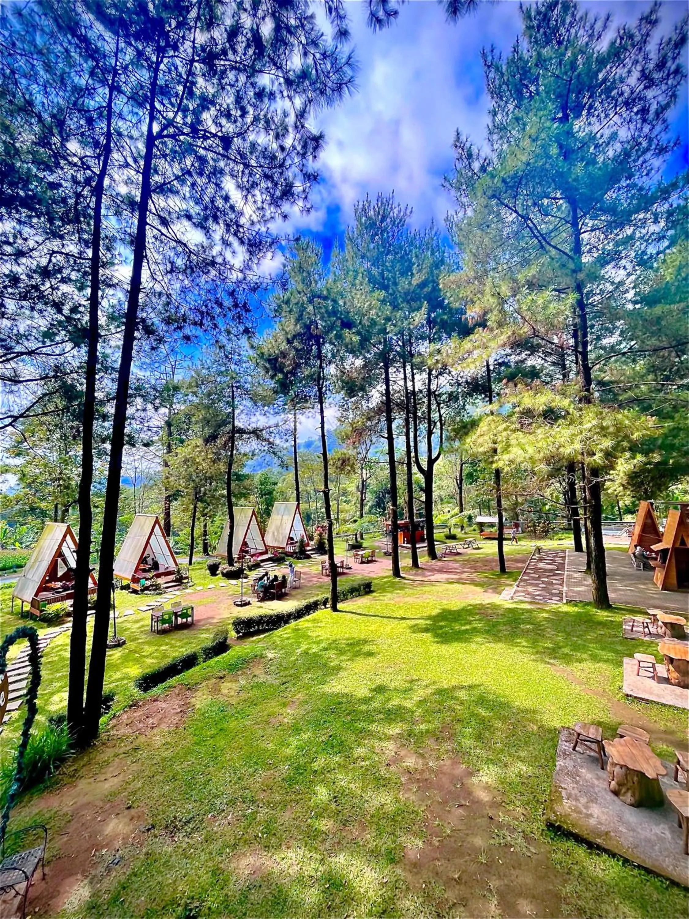 Grand Whiz Hotel Bromo