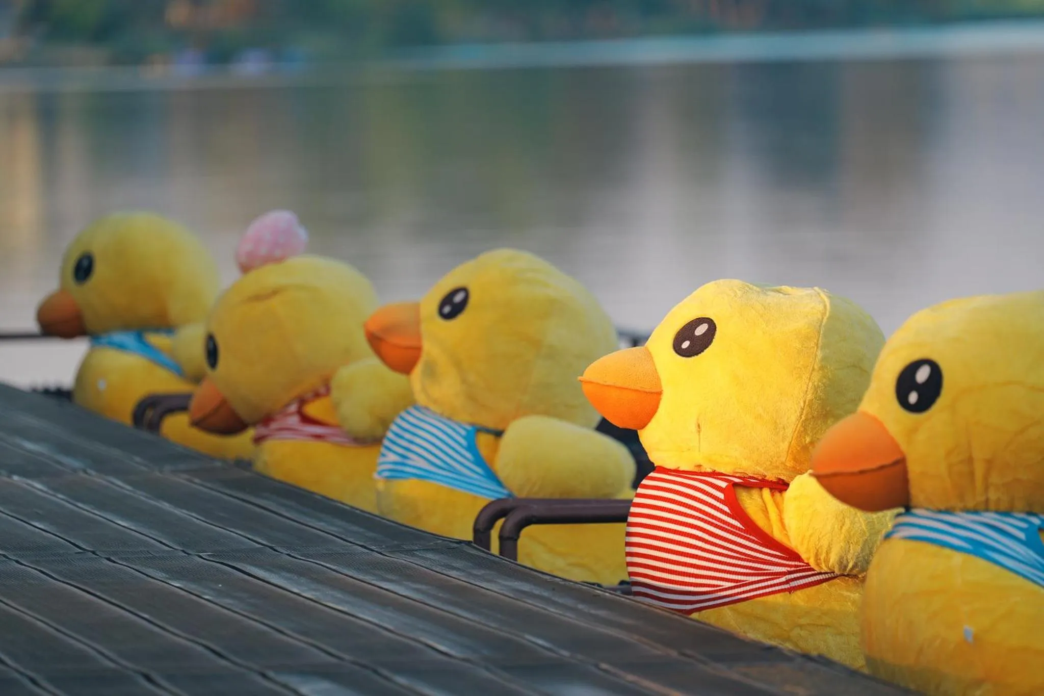 Activities in Tubtim Siam River Kwai Resort