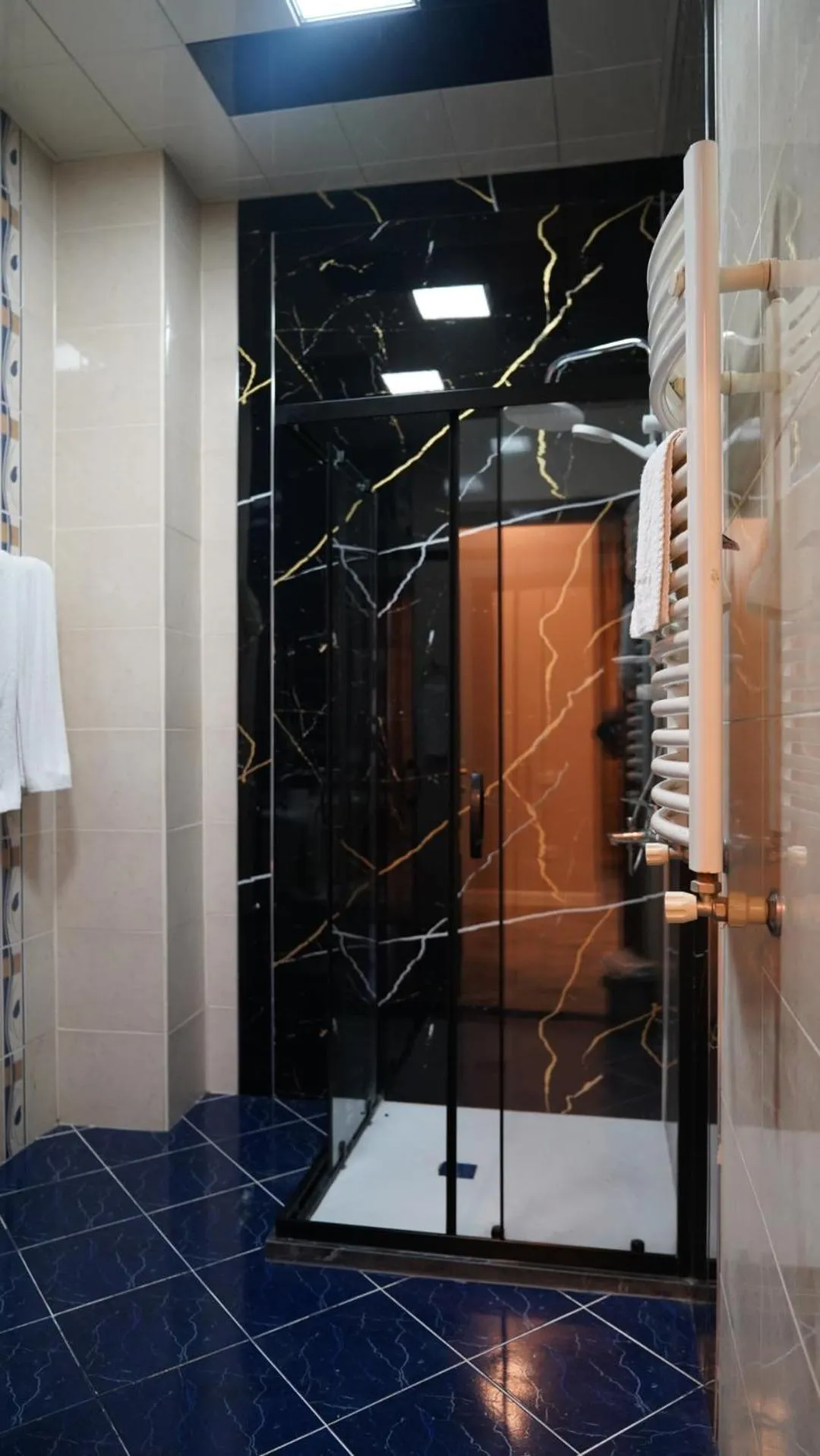 Shower in Premier Hotel