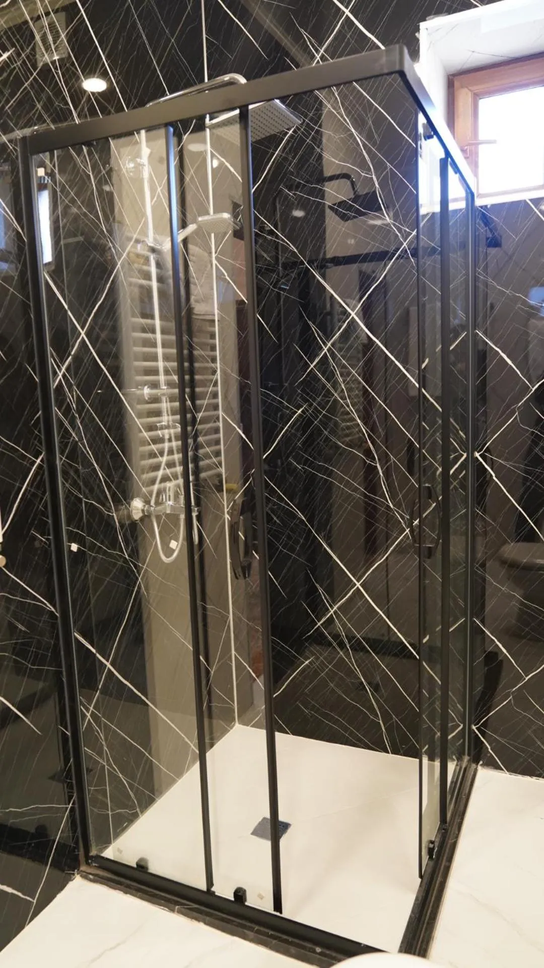 Shower in Premier Hotel