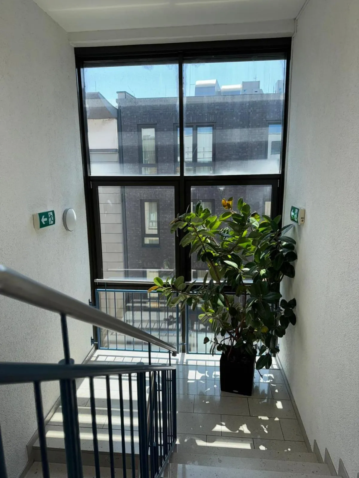 View (from property/room) in Opera Hotel Köln