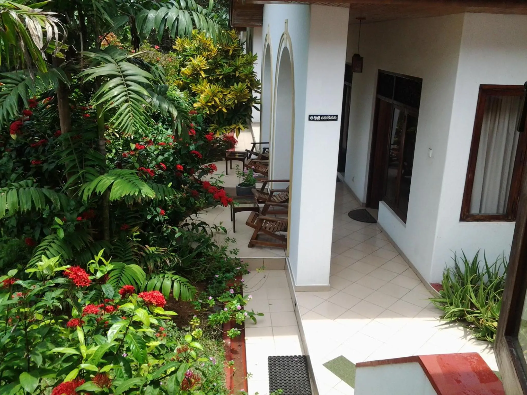 Garden in Tandem Guesthouse