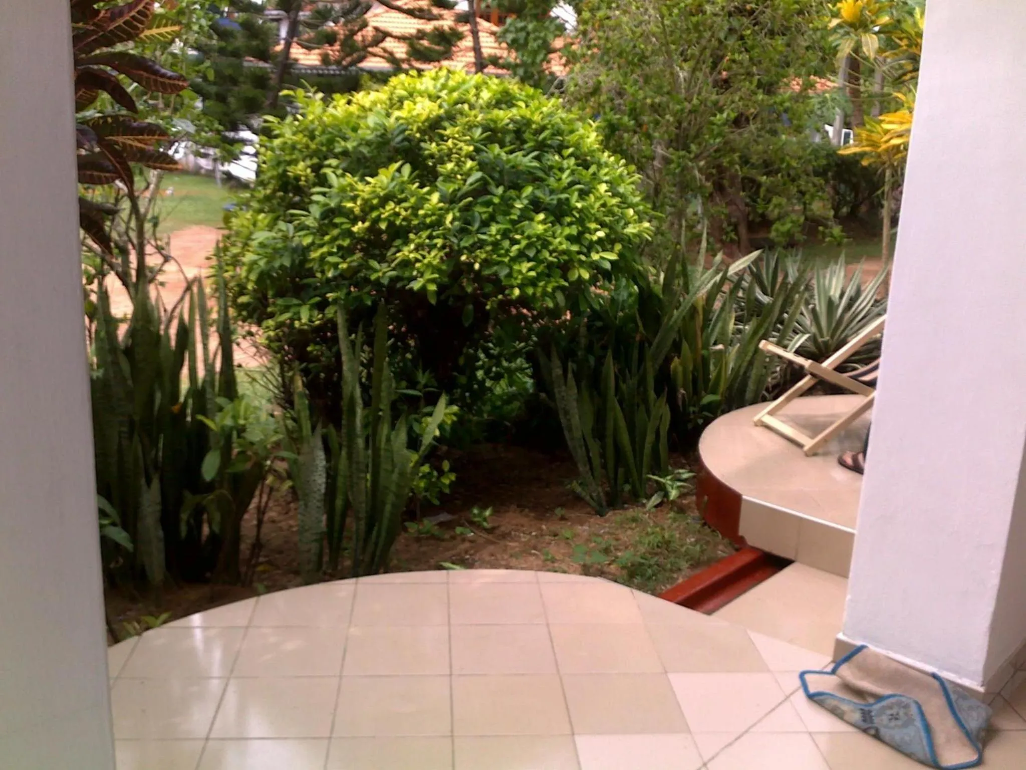 Day in Tandem Guesthouse
