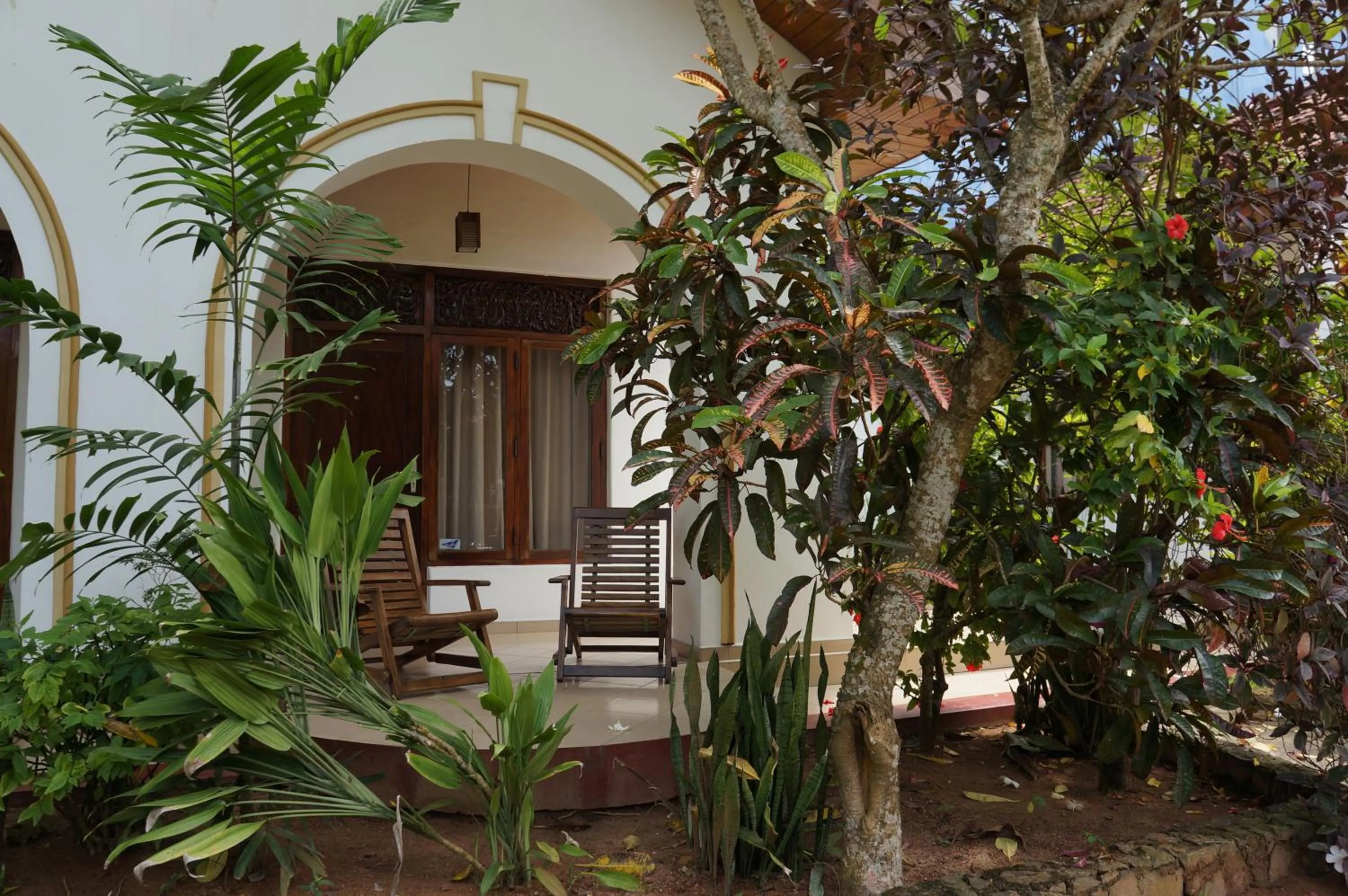 Garden view in Tandem Guesthouse