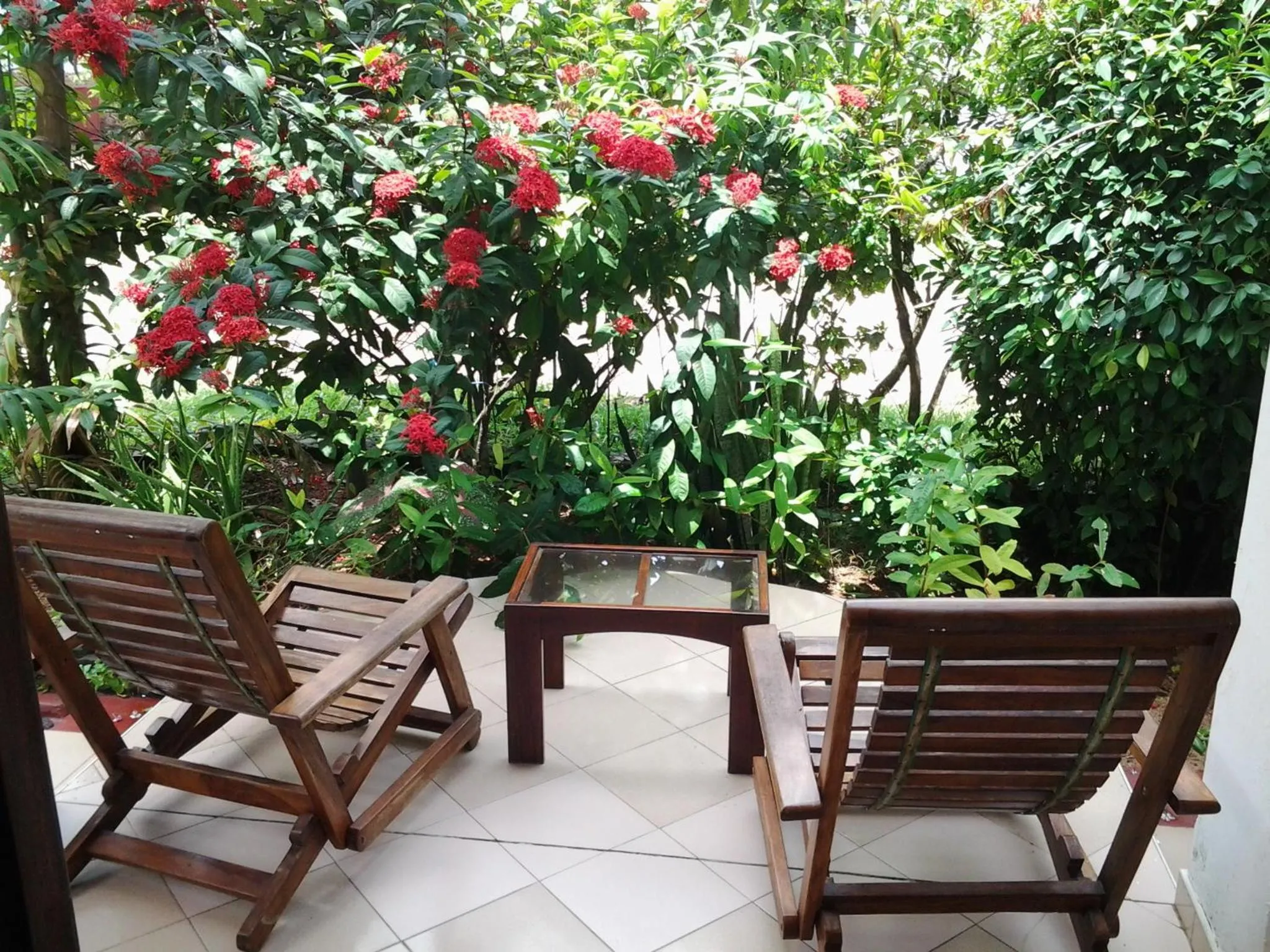 Balcony/Terrace in Tandem Guesthouse
