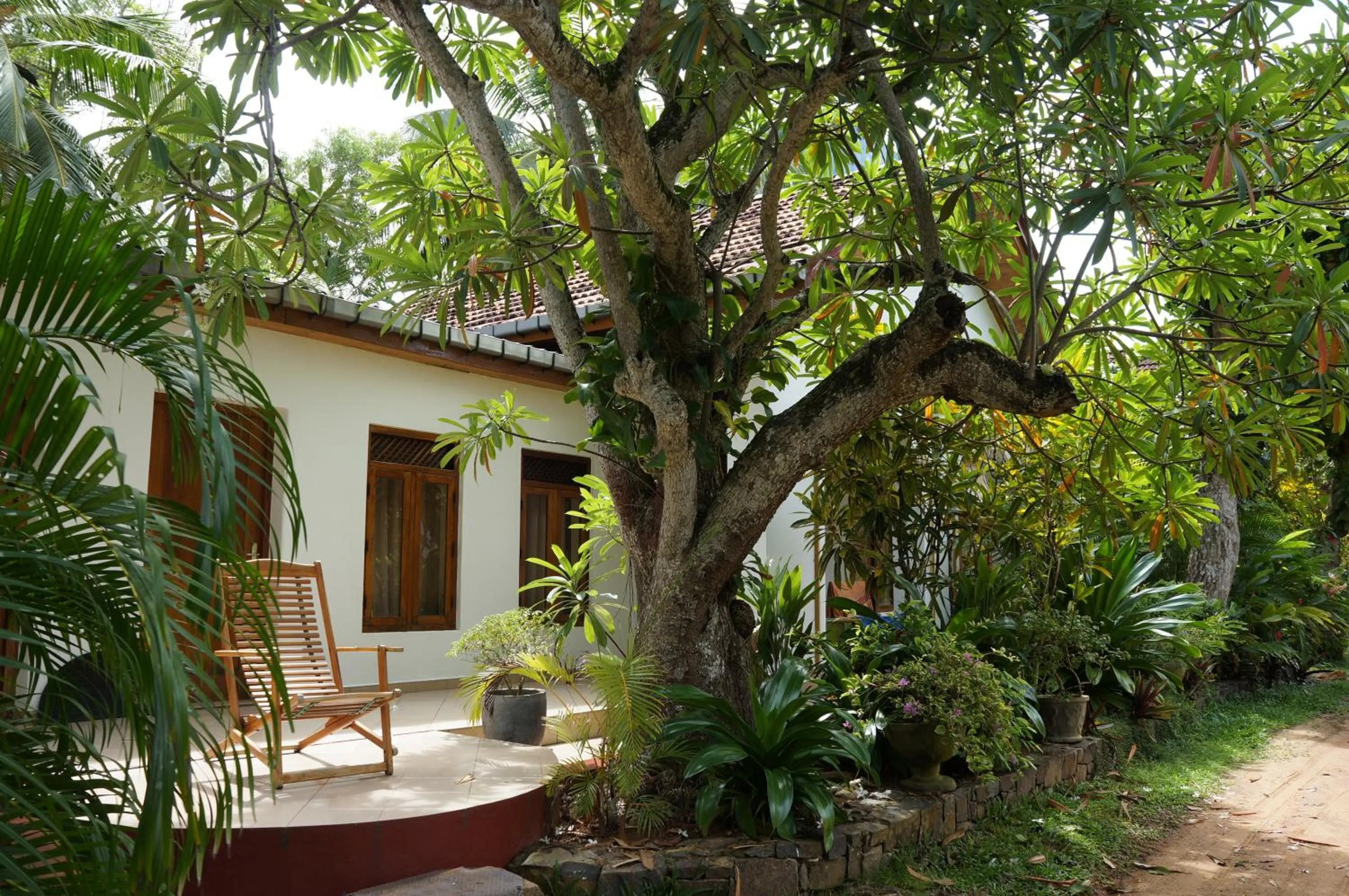 Garden view in Tandem Guesthouse
