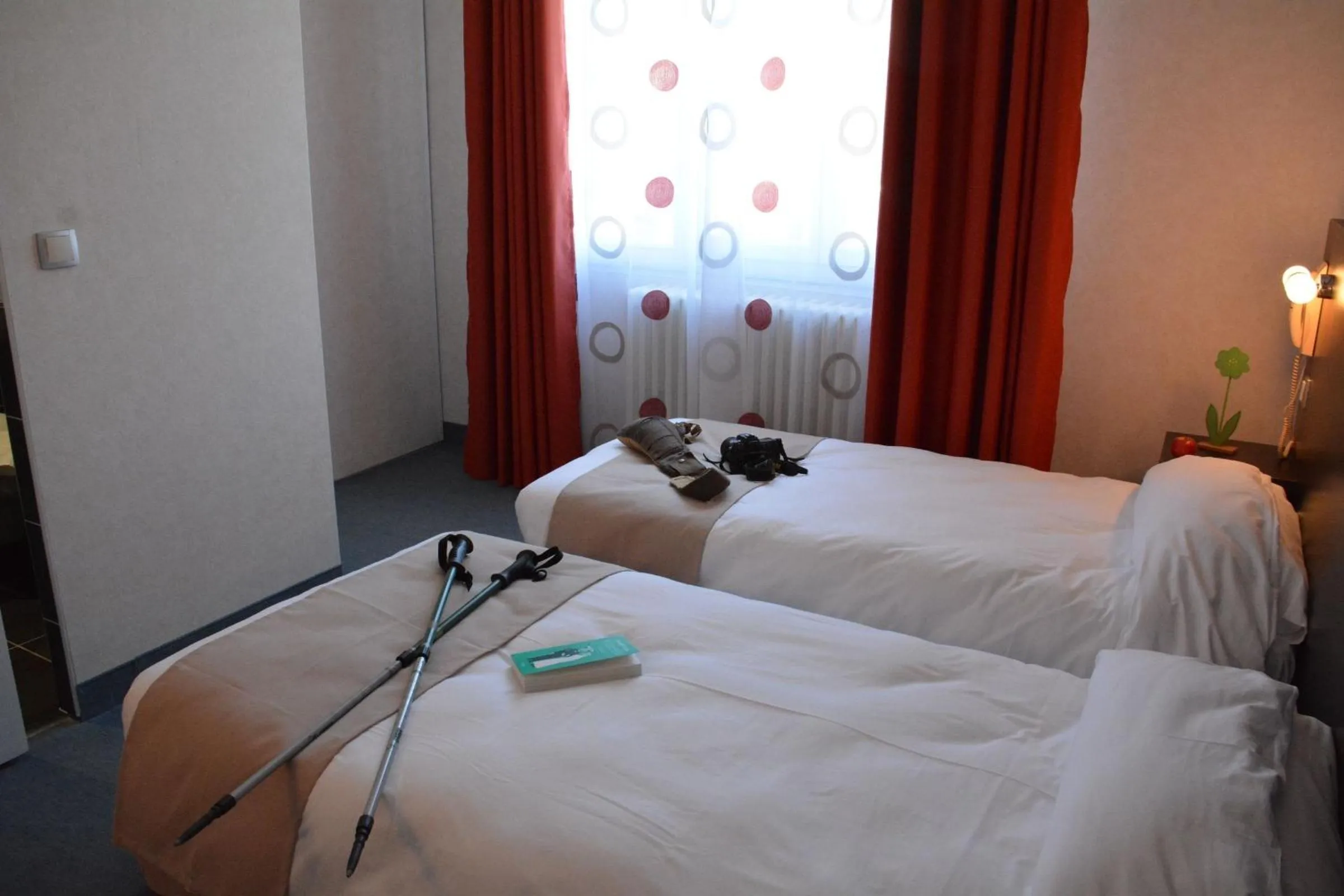 Photo of the whole room, Bed in Logis Hôtel Restaurant de France